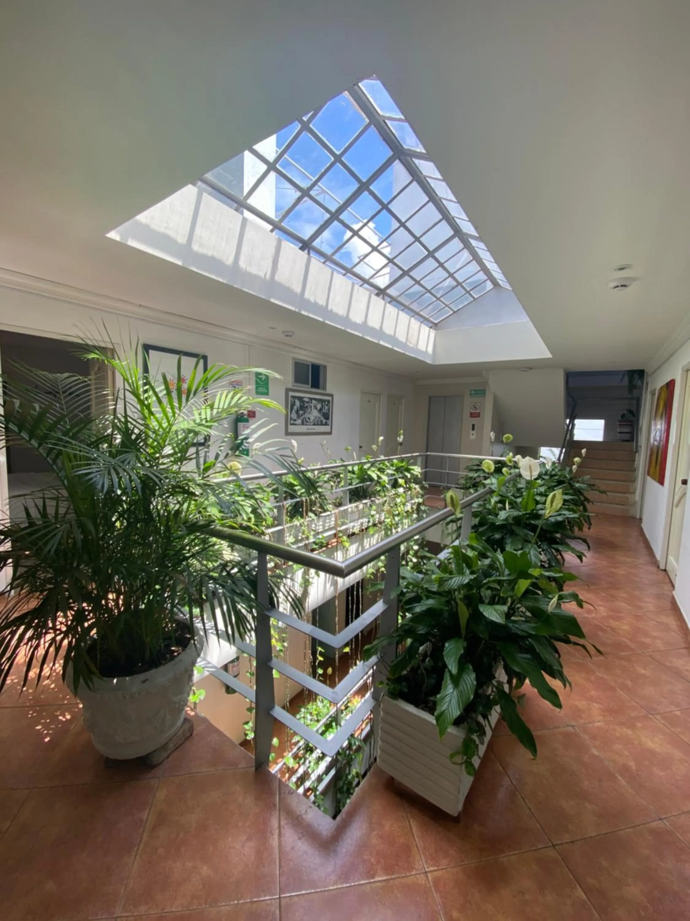 Area and facilities in Hotel Picasso Inn