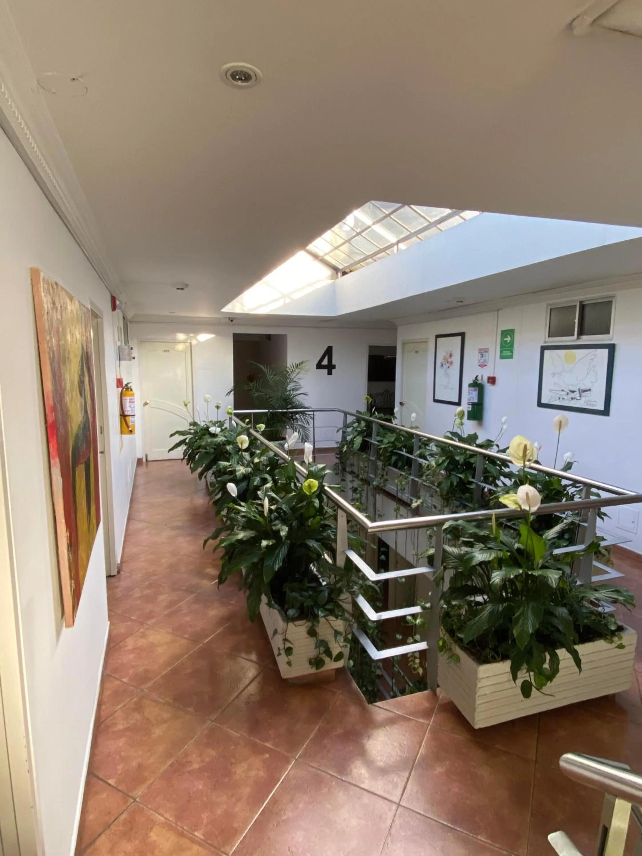 Area and facilities in Hotel Picasso Inn