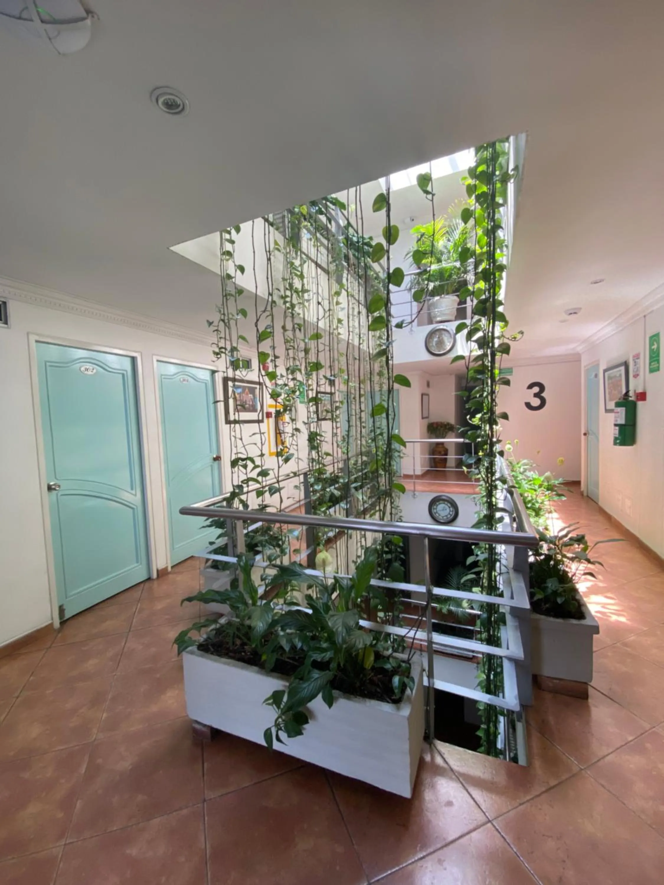 Area and facilities in Hotel Picasso Inn