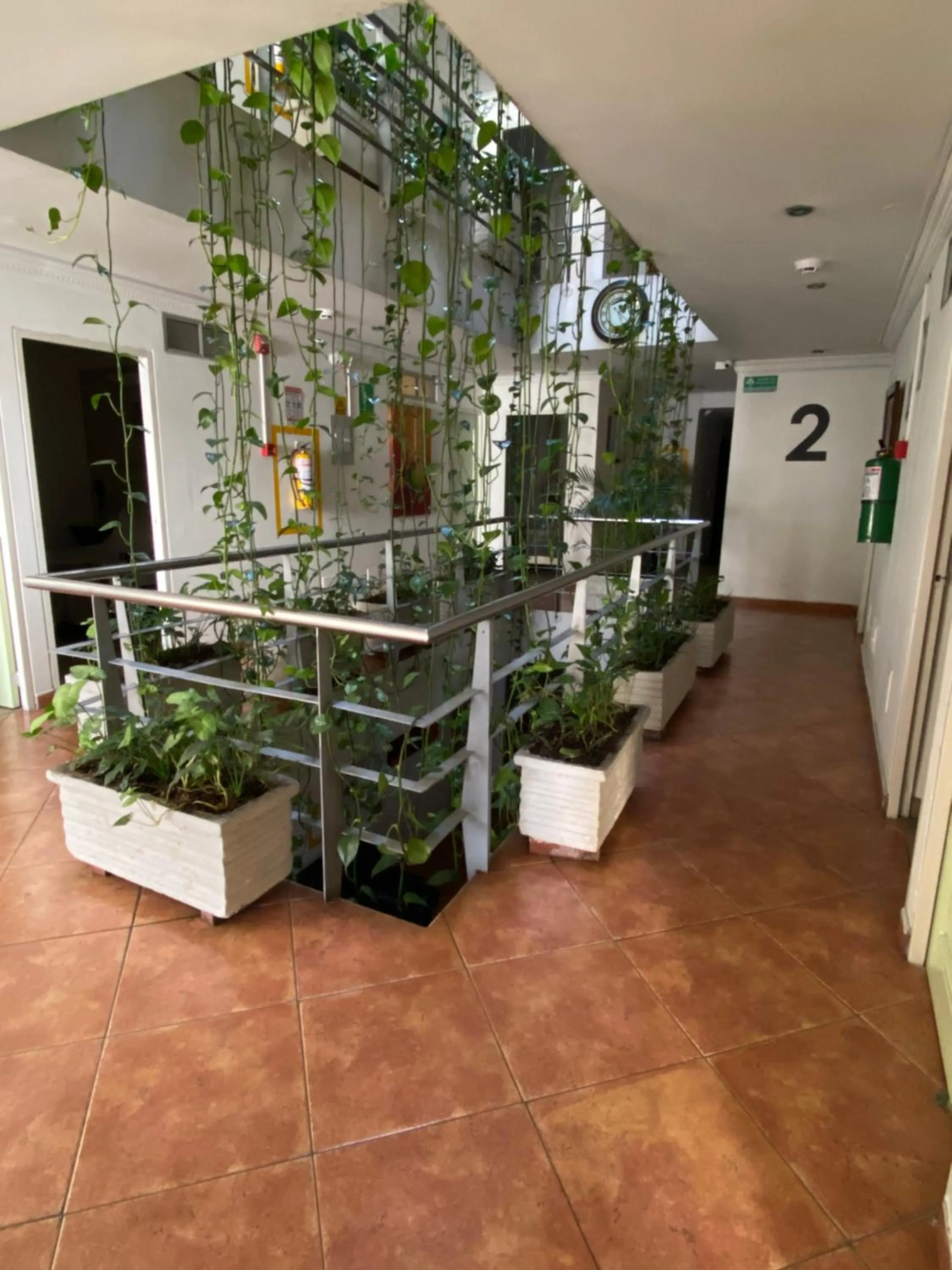 Area and facilities in Hotel Picasso Inn