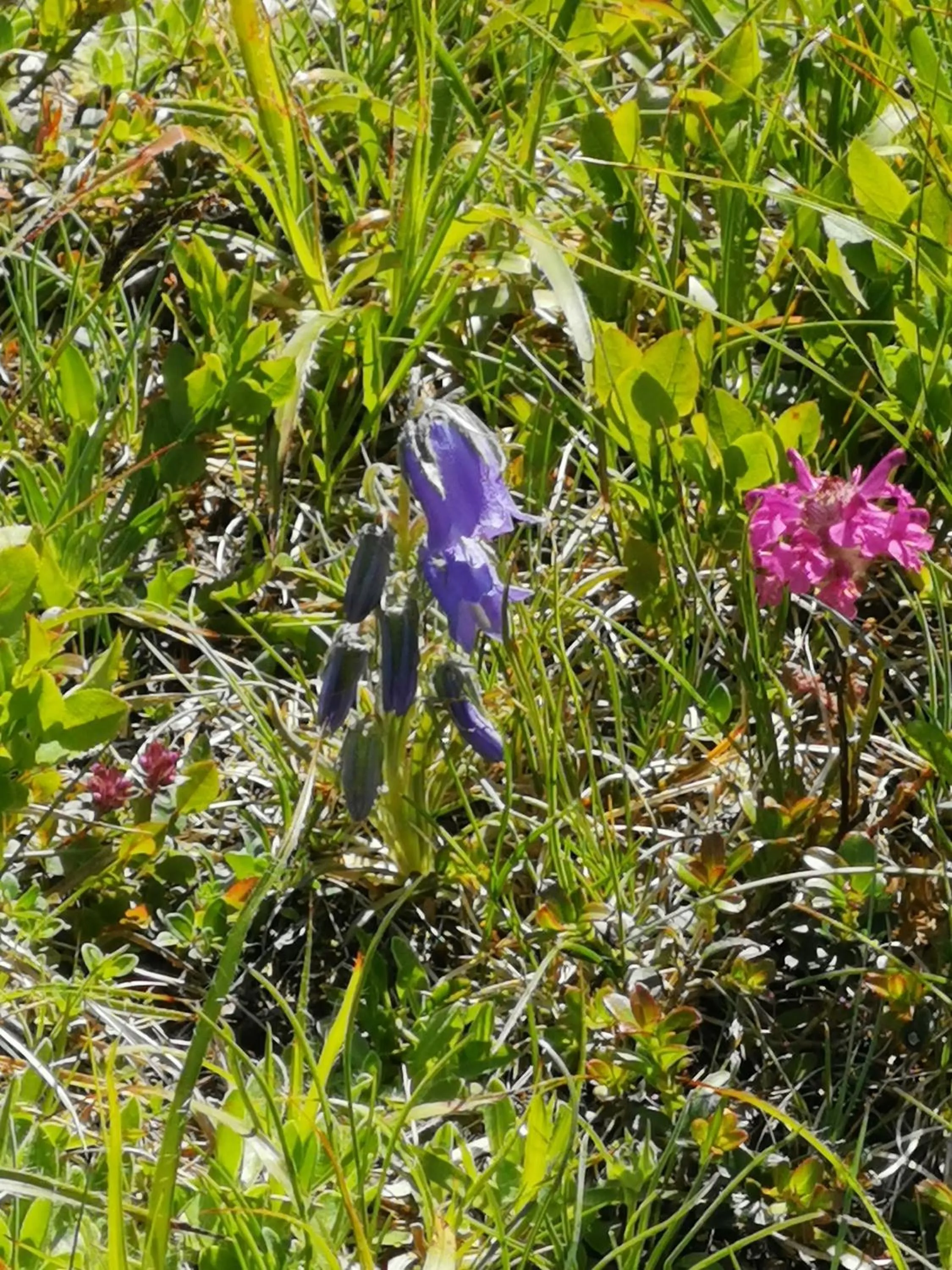 Property building in Pension Arkadenhof