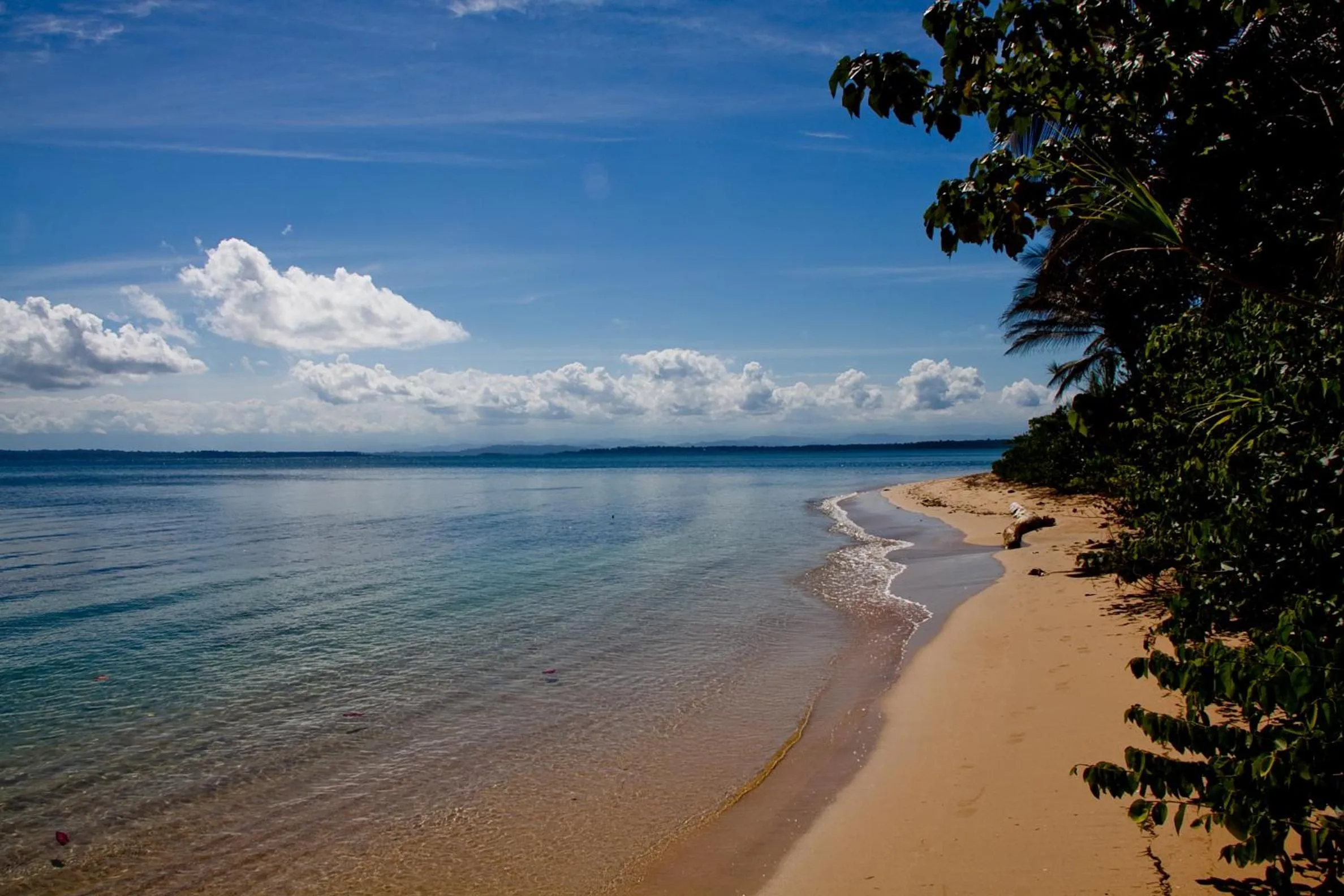Beach in Al Natural Resort