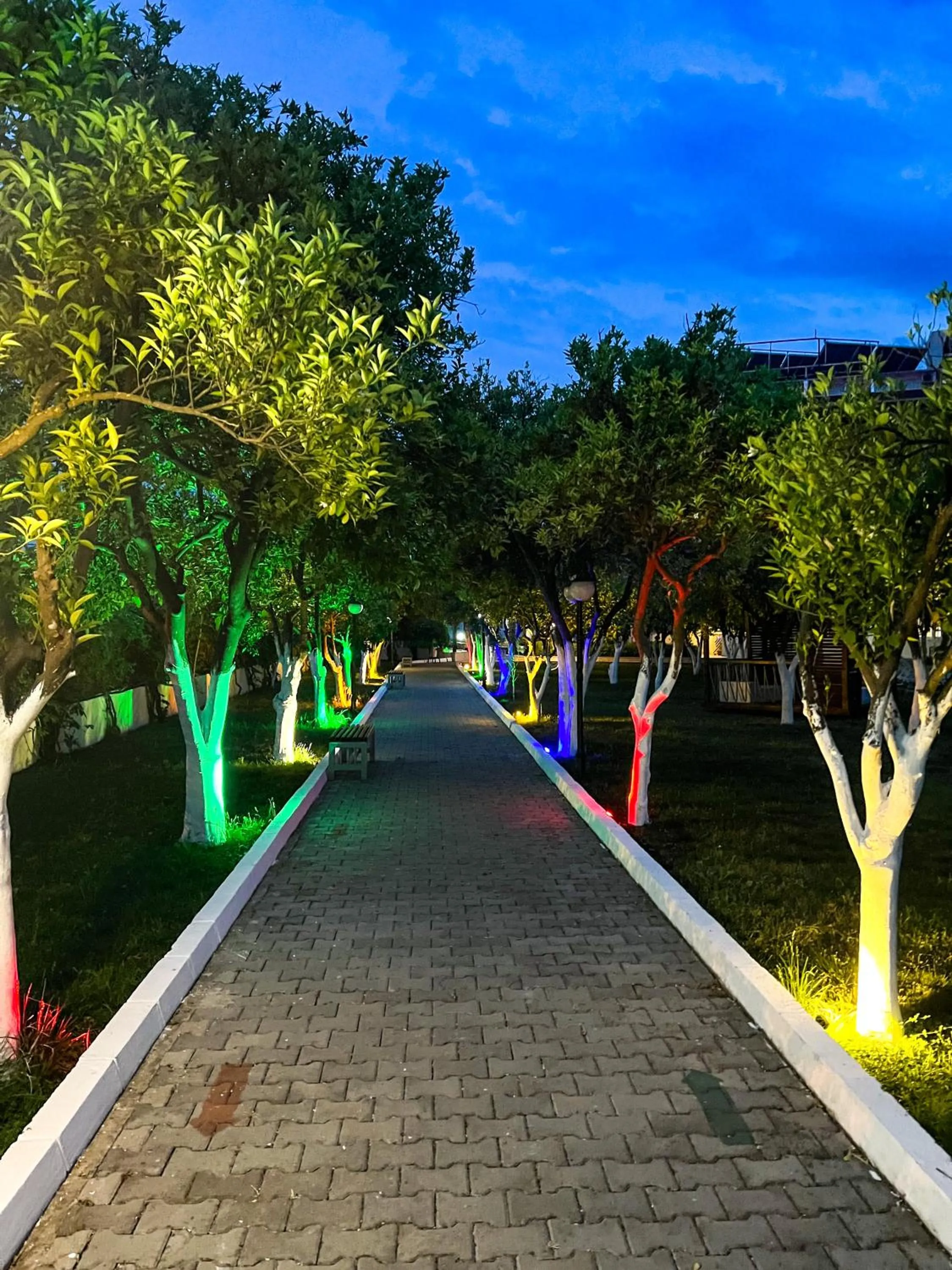 Night in CASTLE PARK HOTEL