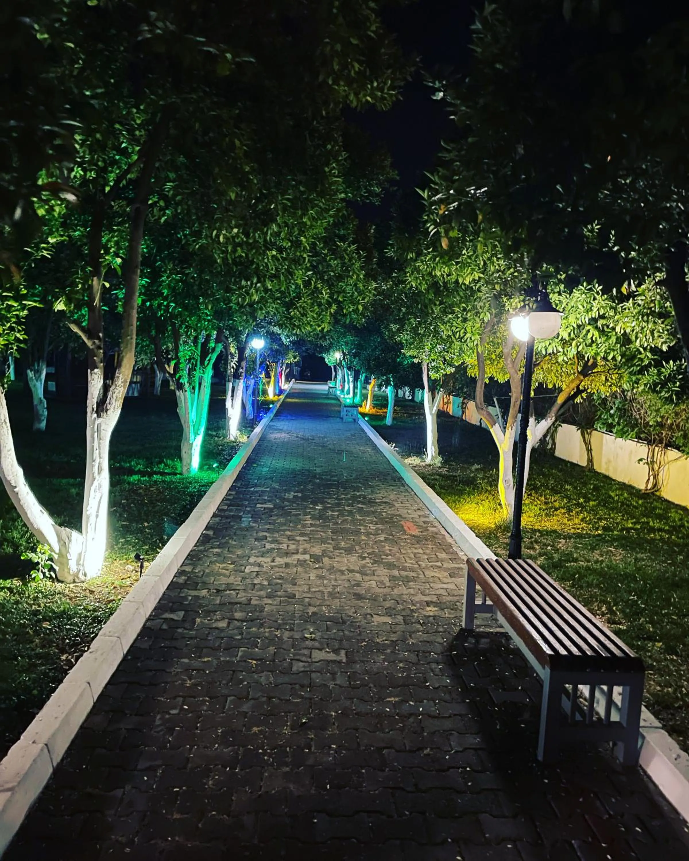 Night in CASTLE PARK HOTEL