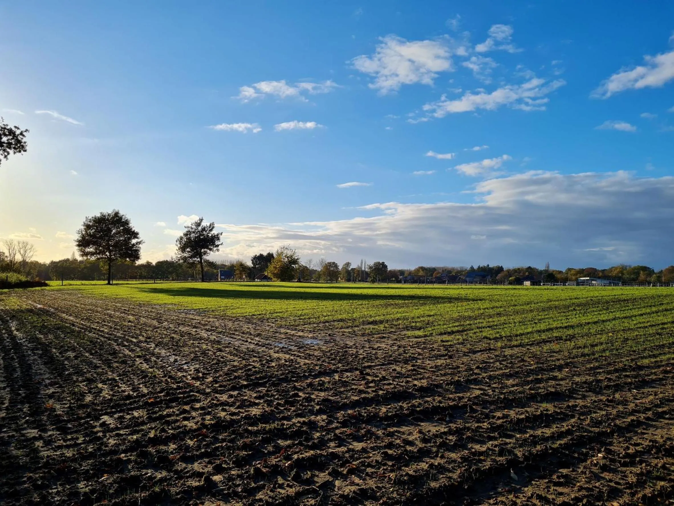 Natural landscape in Parkhoeve Glamping