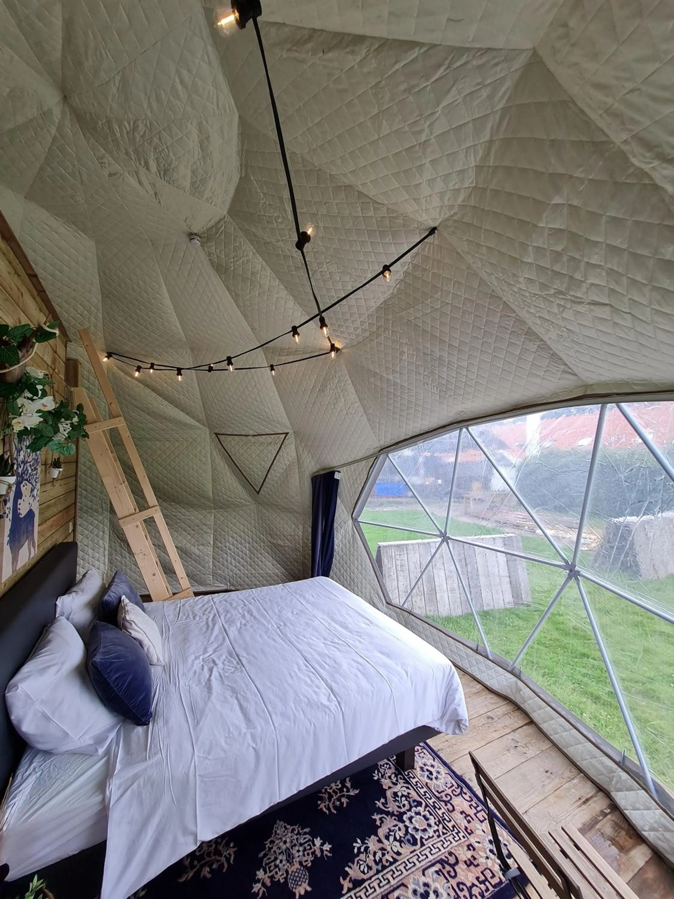 Bed in Parkhoeve Glamping