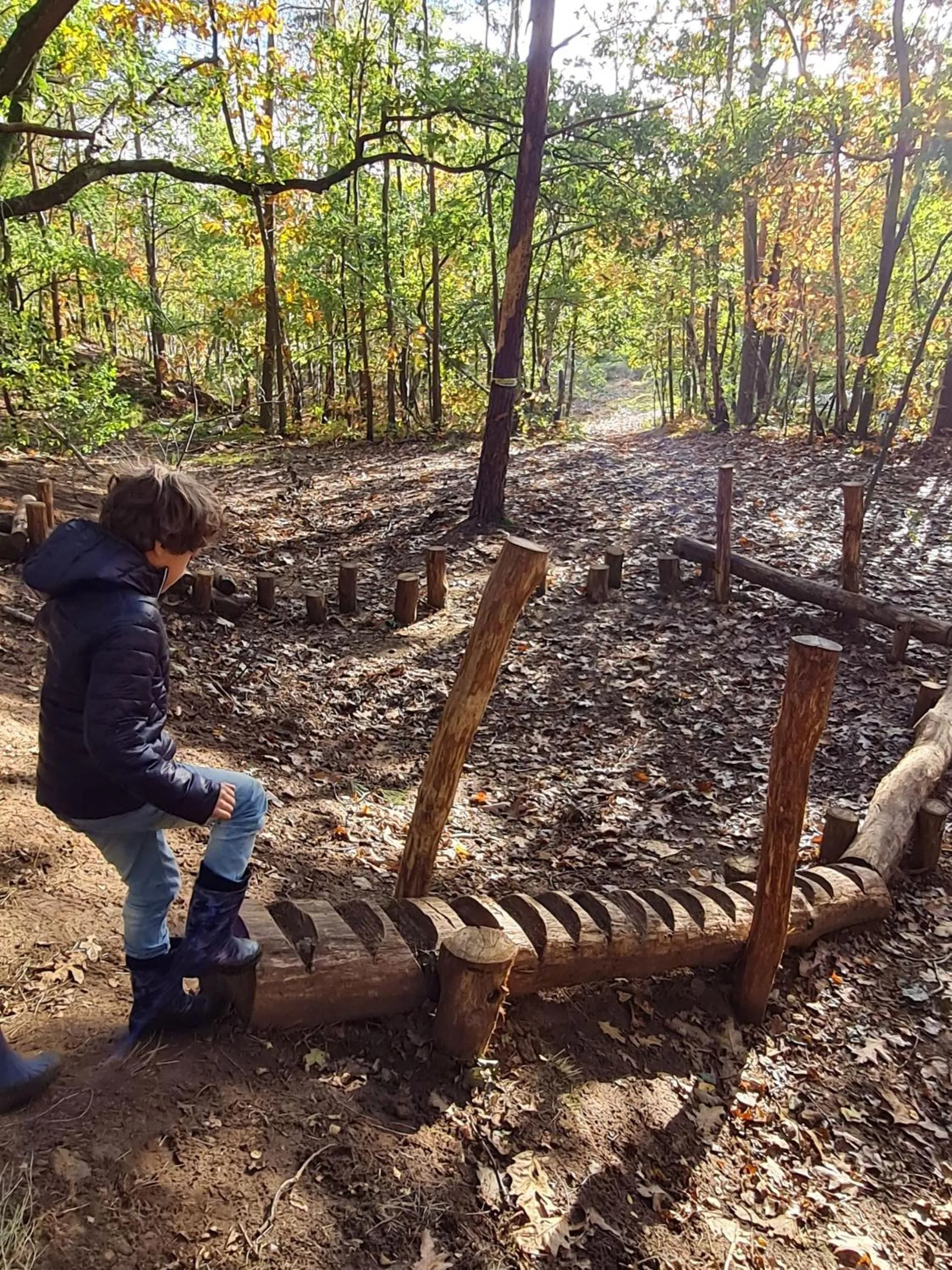 Activities in Parkhoeve Glamping