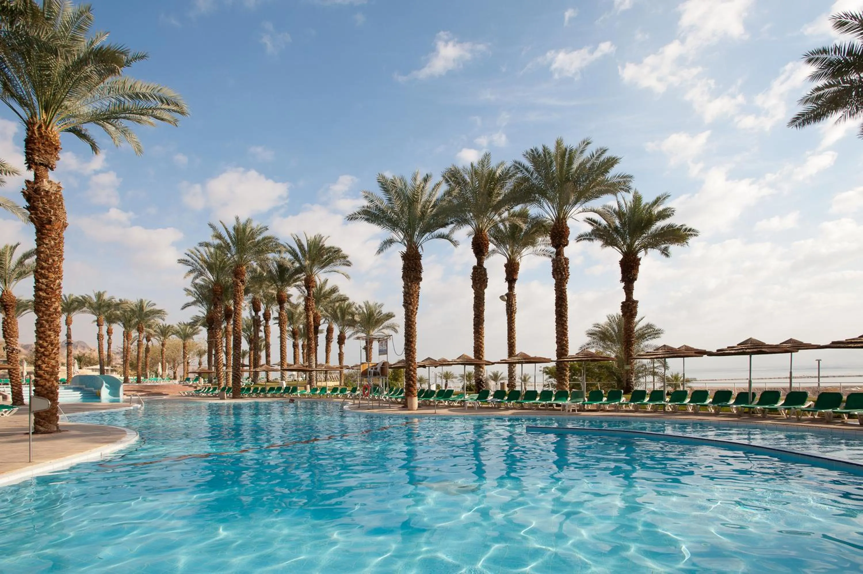 Swimming pool in David Dead Sea Resort & Spa