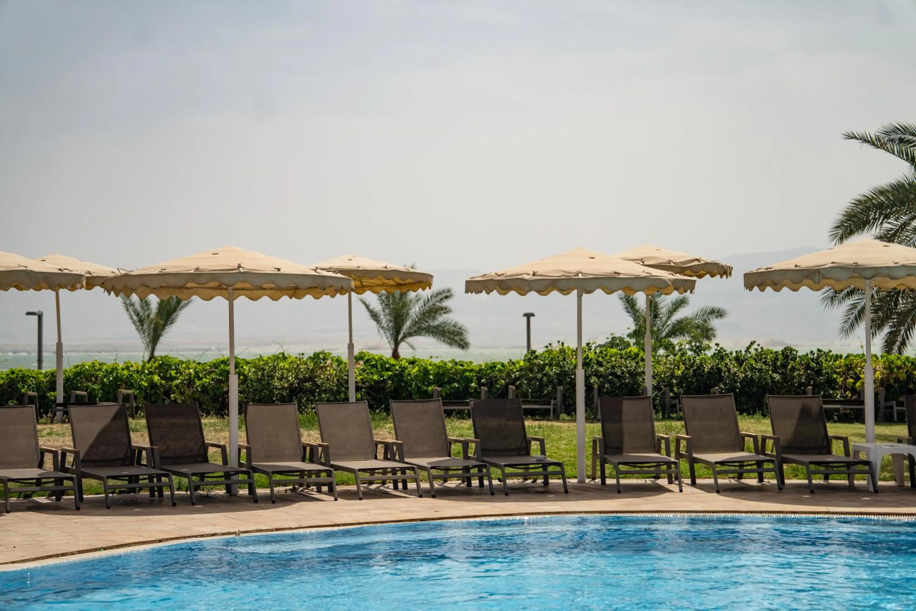 Swimming pool in David Dead Sea Resort & Spa