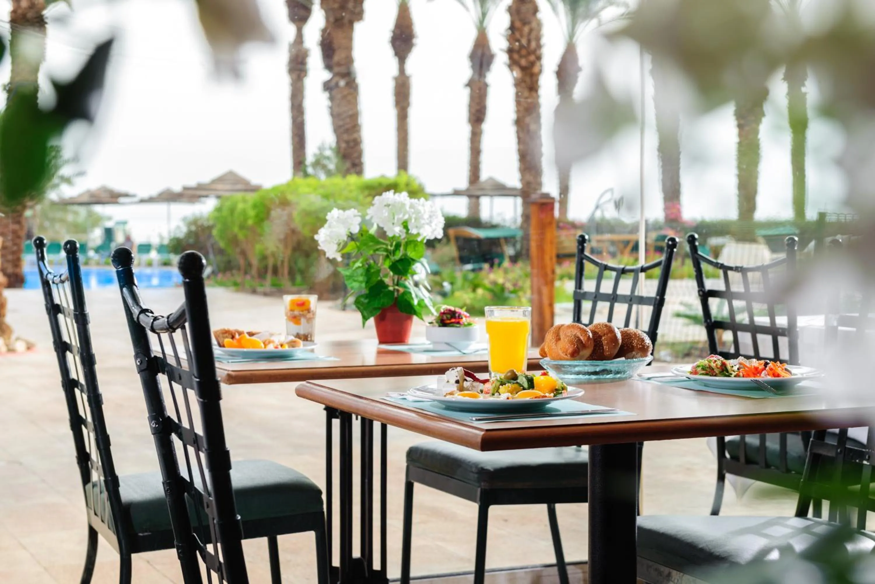 Food close-up in David Dead Sea Resort & Spa