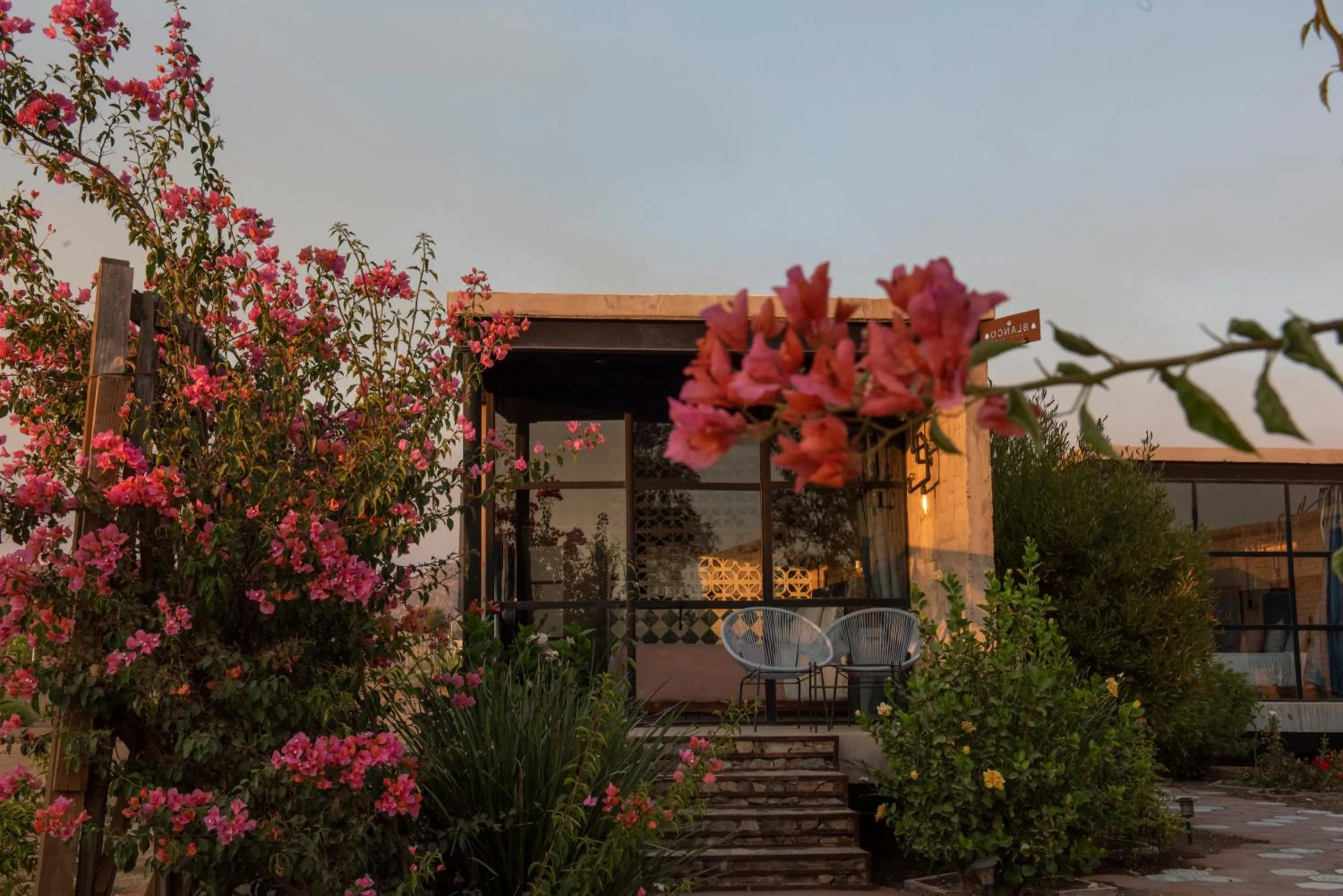 Garden view in Hotel Los Amantes Valle de Guadalupe