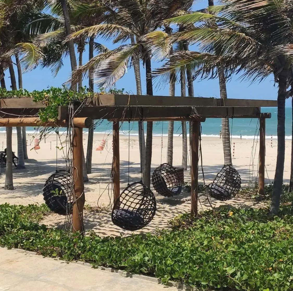 Natural landscape in Manhattan Beach Riviera