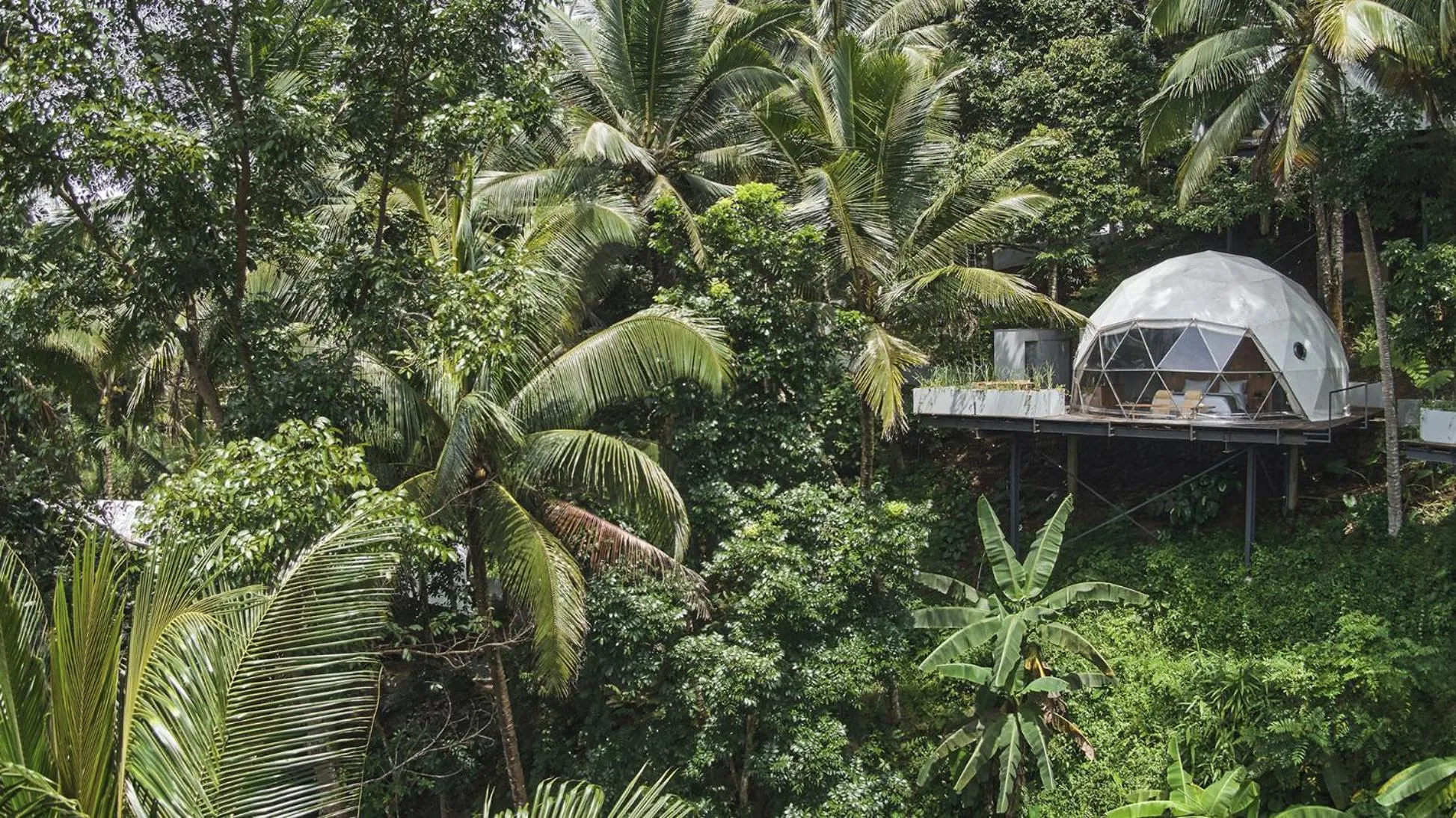 Property building in Lintang Luku Tent Resort