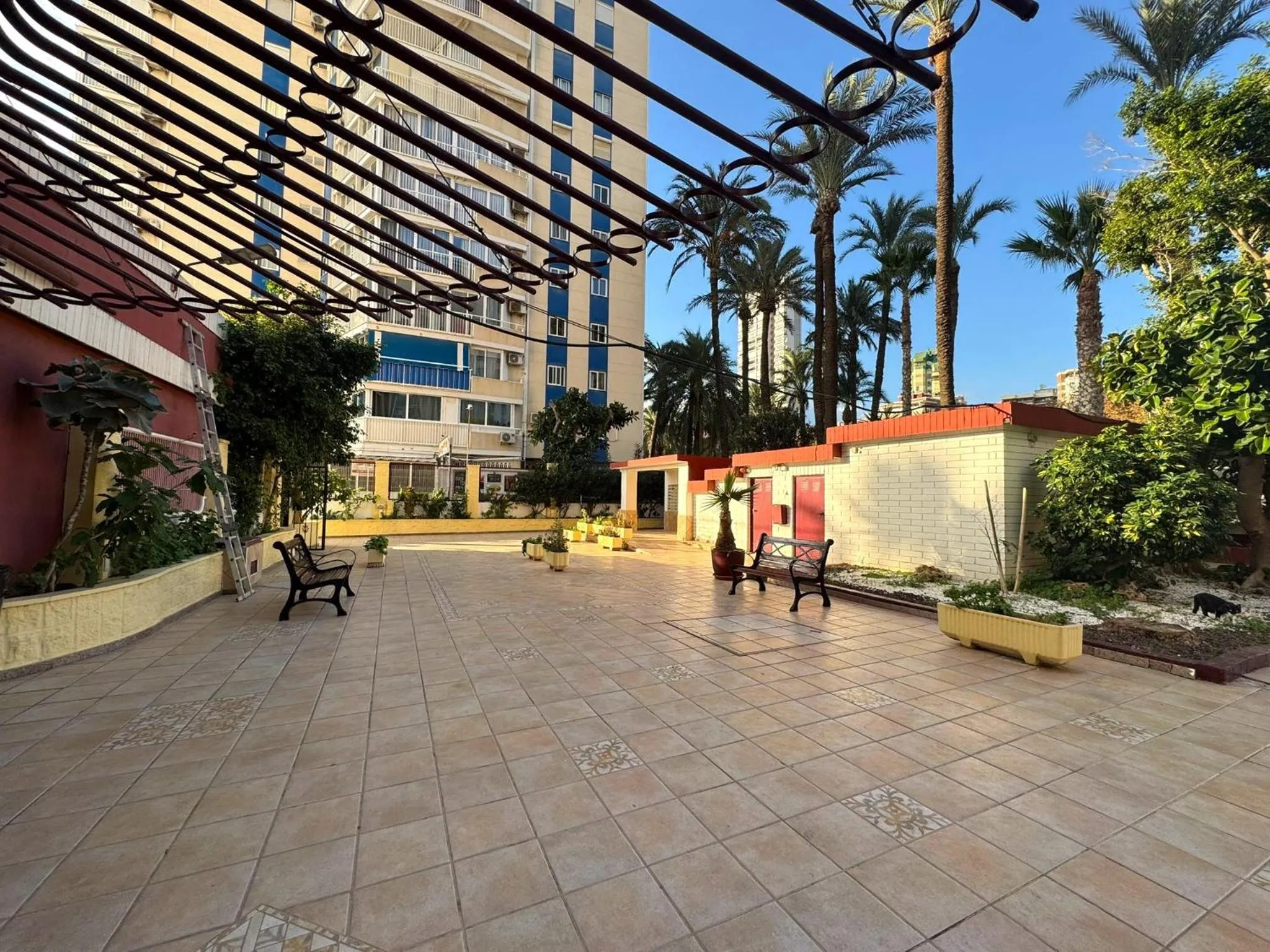 Property building in Las Damas