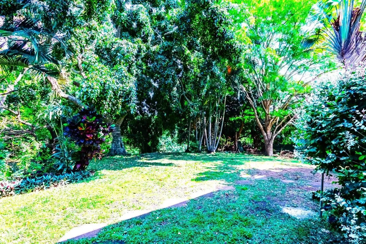 Garden view in The Bridge 38