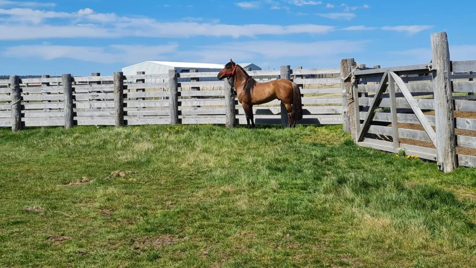 Natural landscape in Hotel Hacienda Dorotea