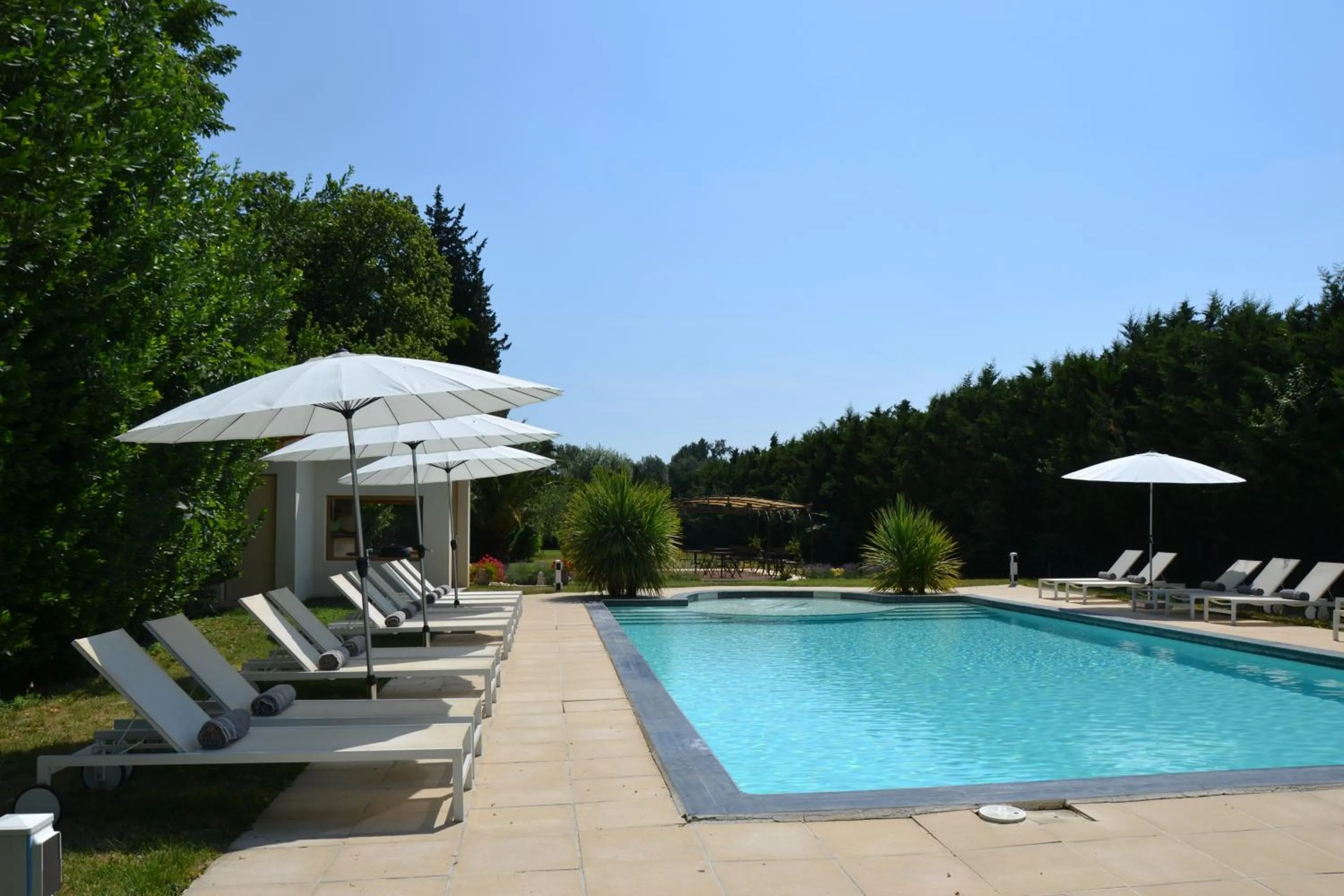 Swimming pool in Mas de Capelou