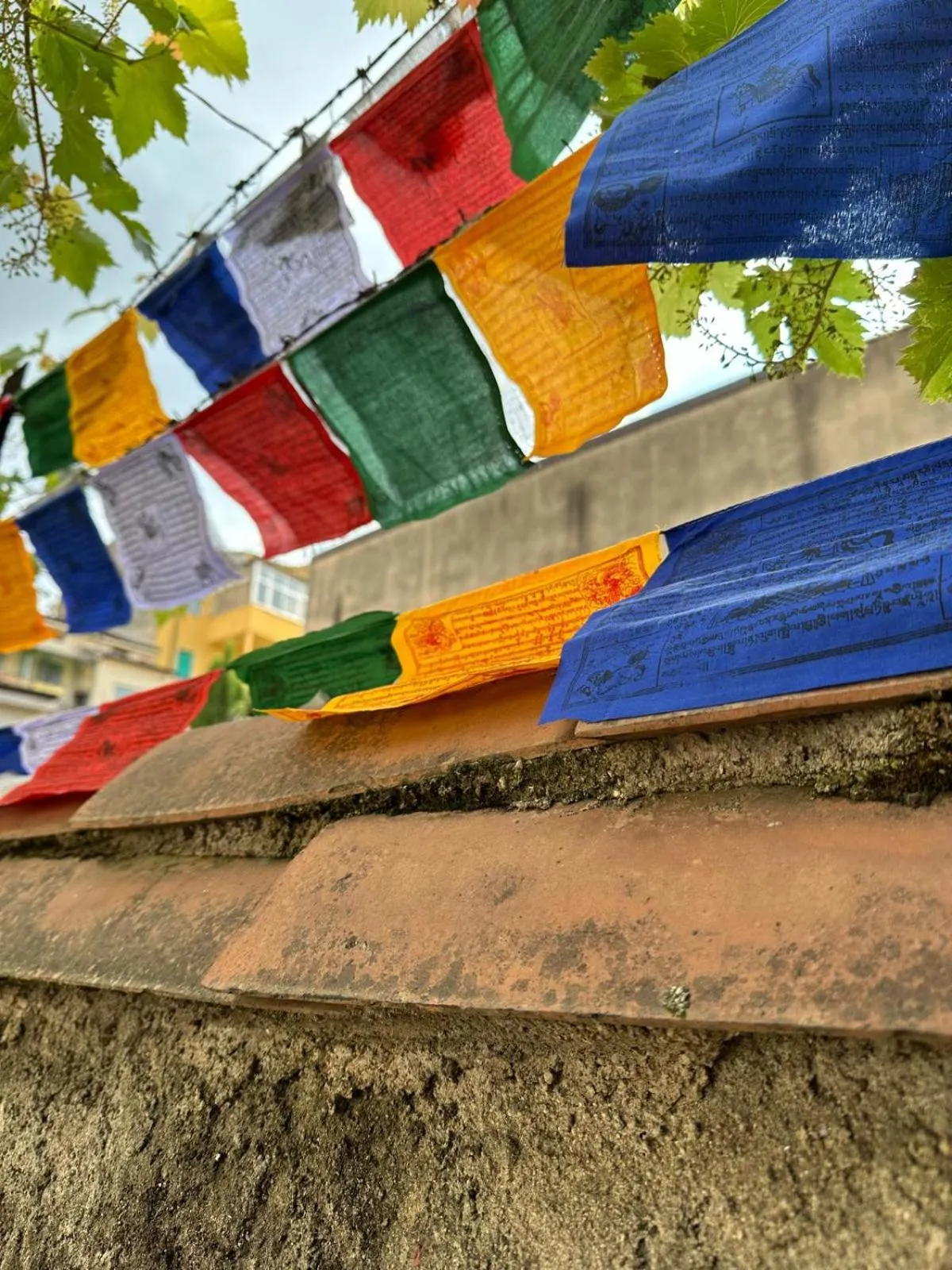 Garden in Casa Babbuino