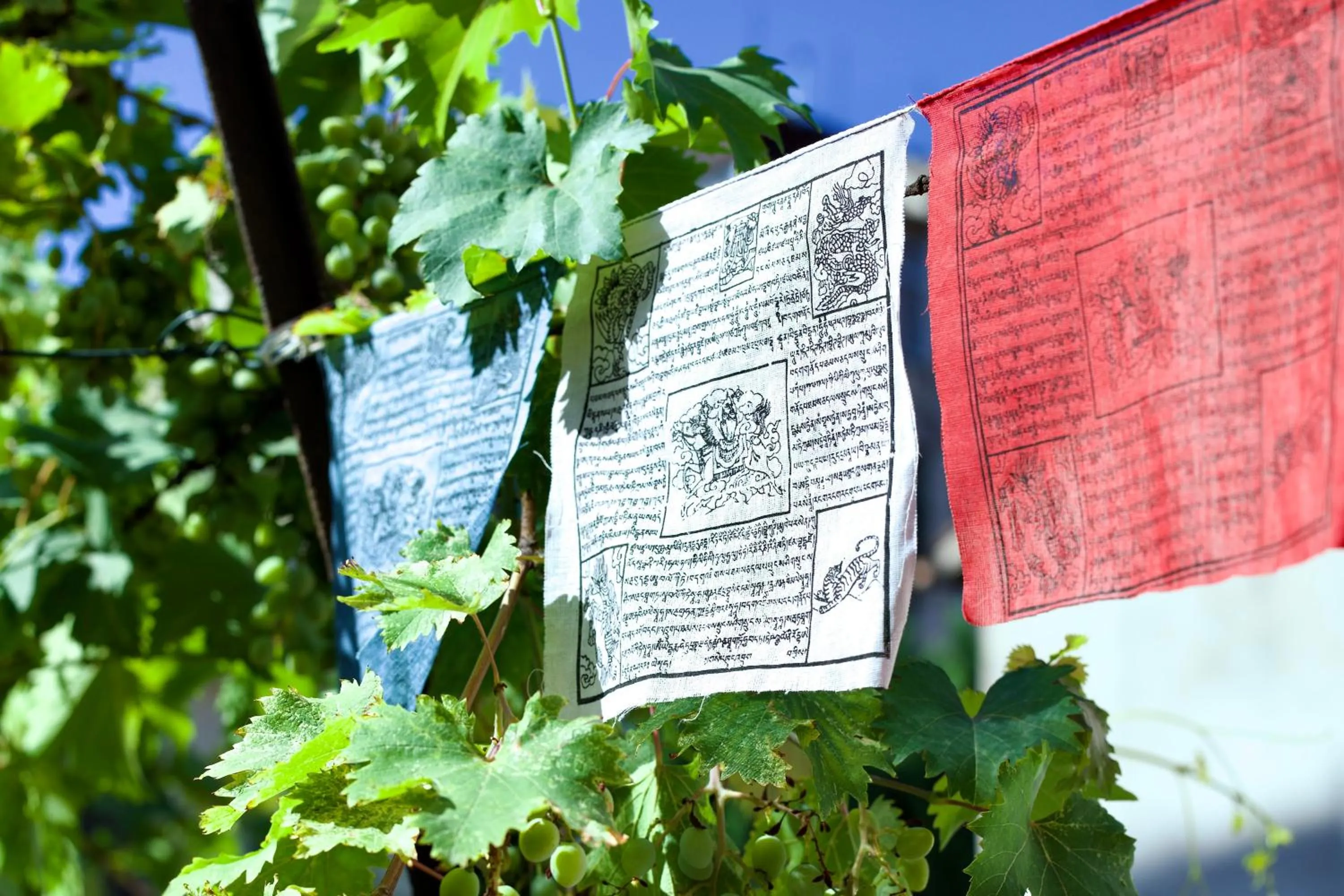 Garden in Casa Babbuino
