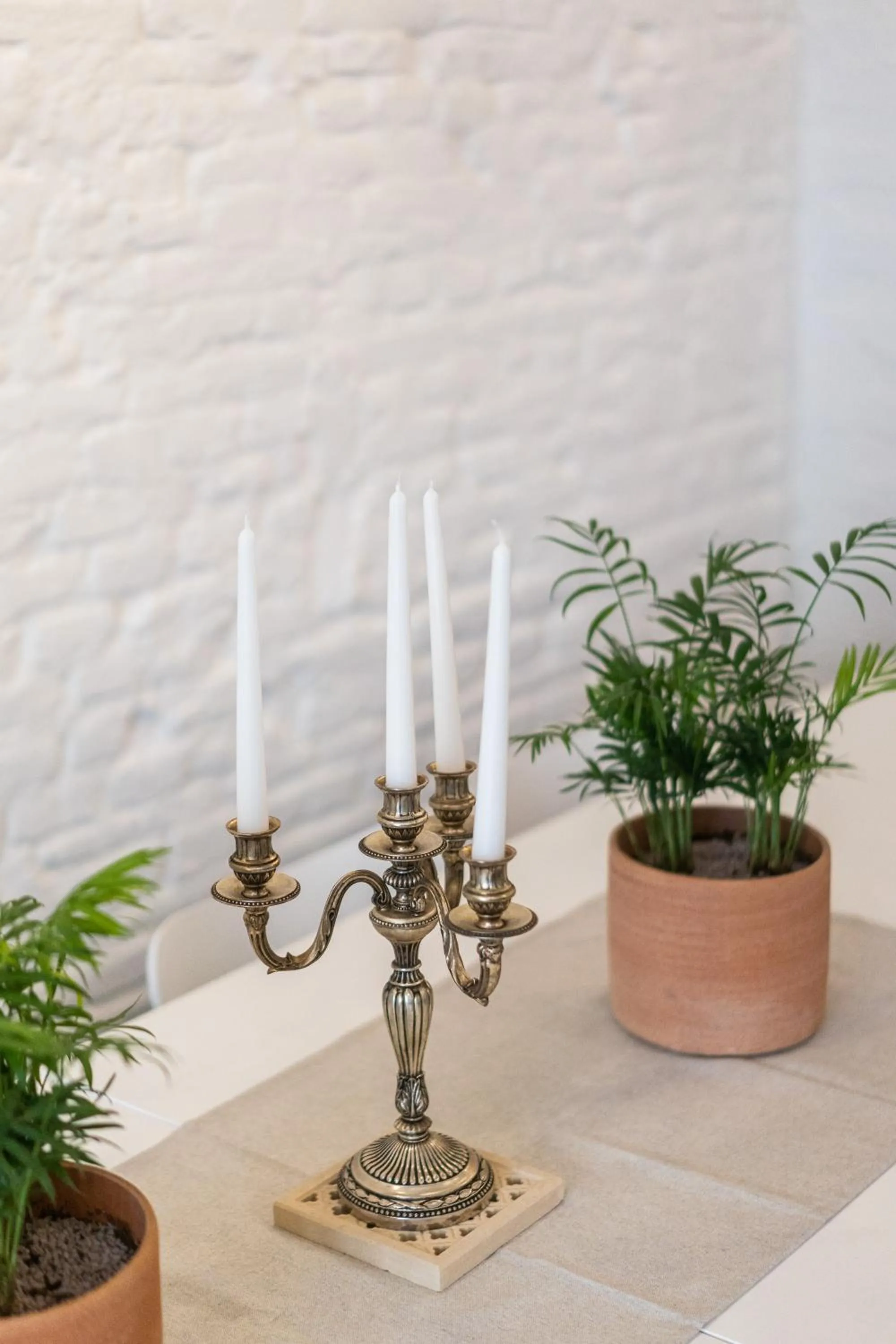 Meeting/conference room in Casa Babbuino