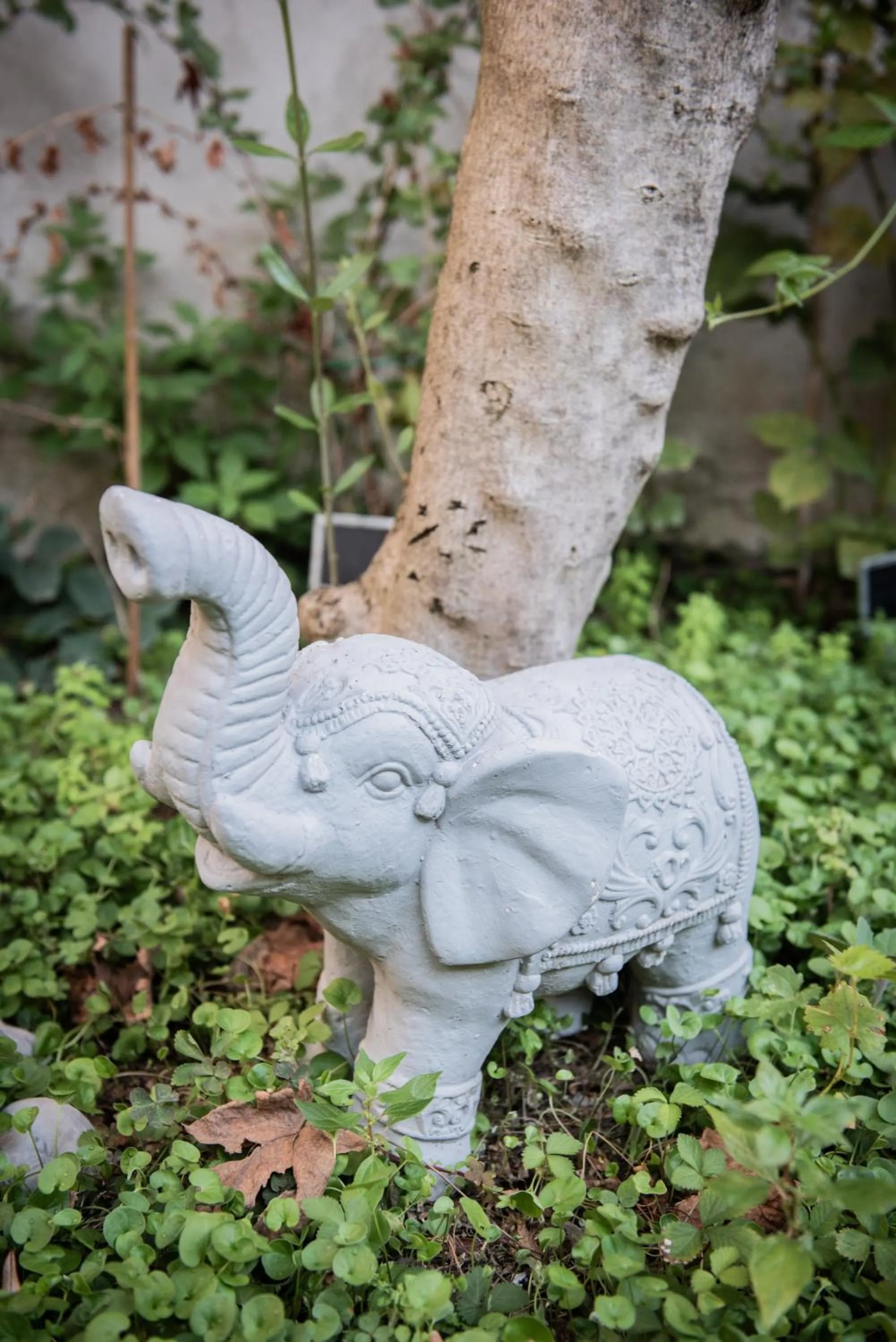 Garden in Casa Babbuino