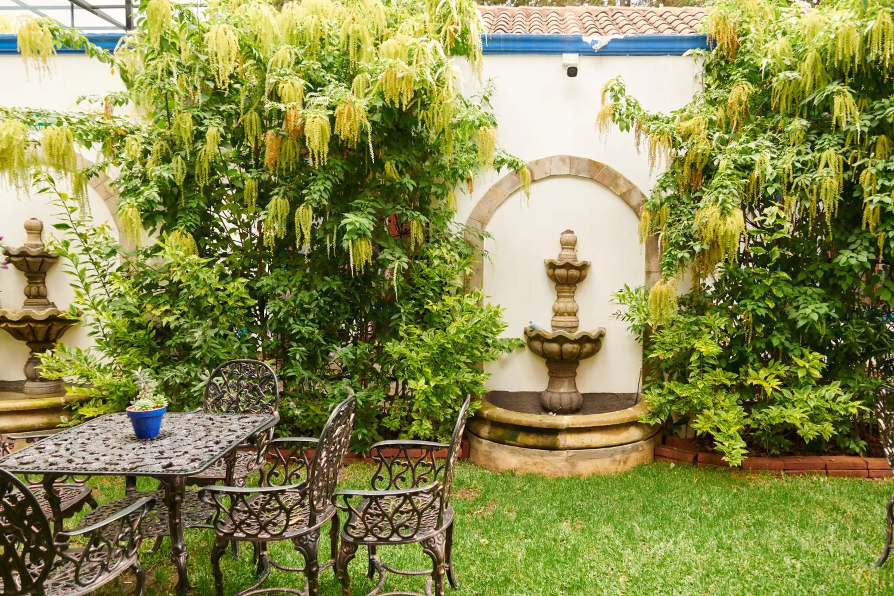 Garden in Hacienda Valentino