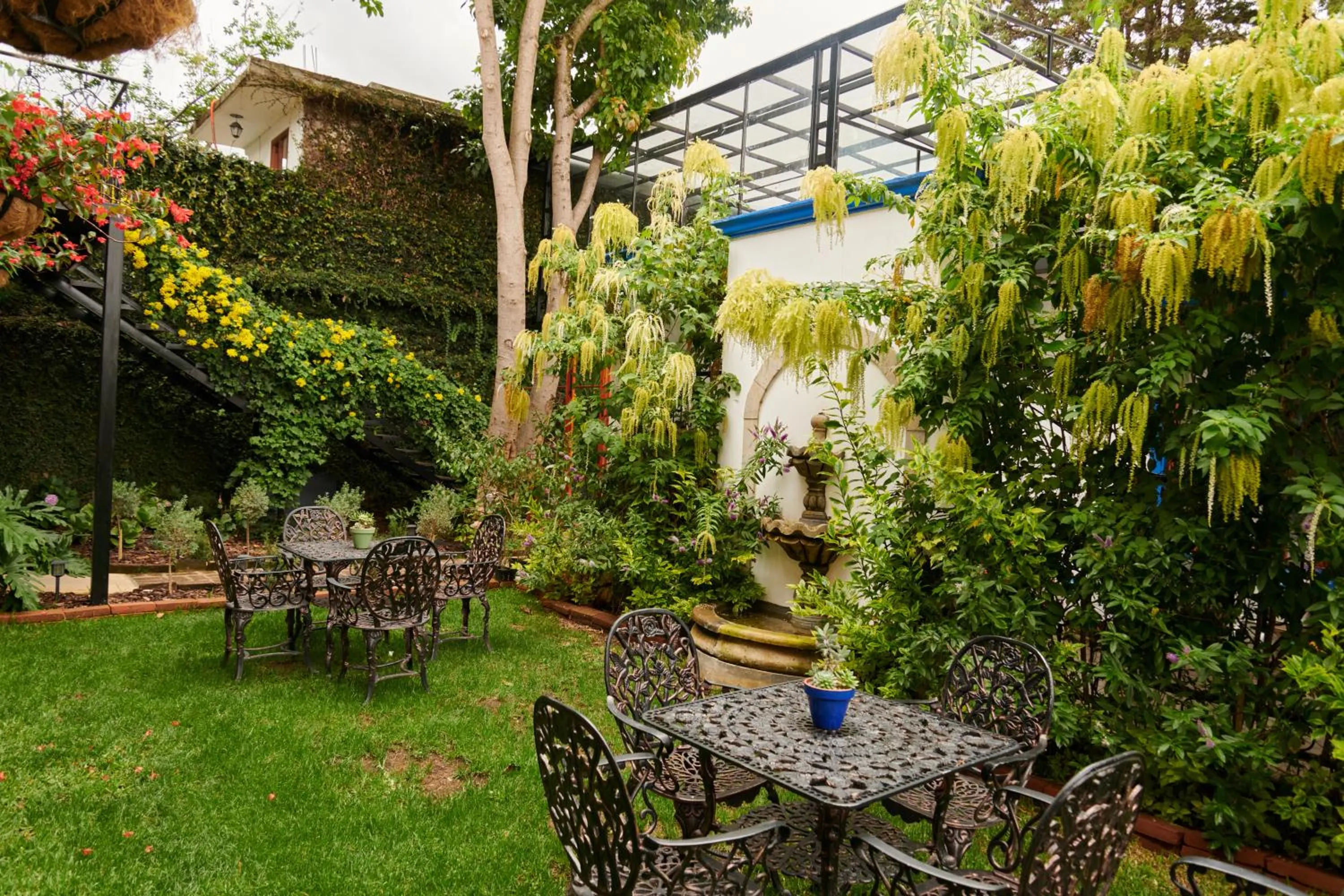 Garden in Hacienda Valentino