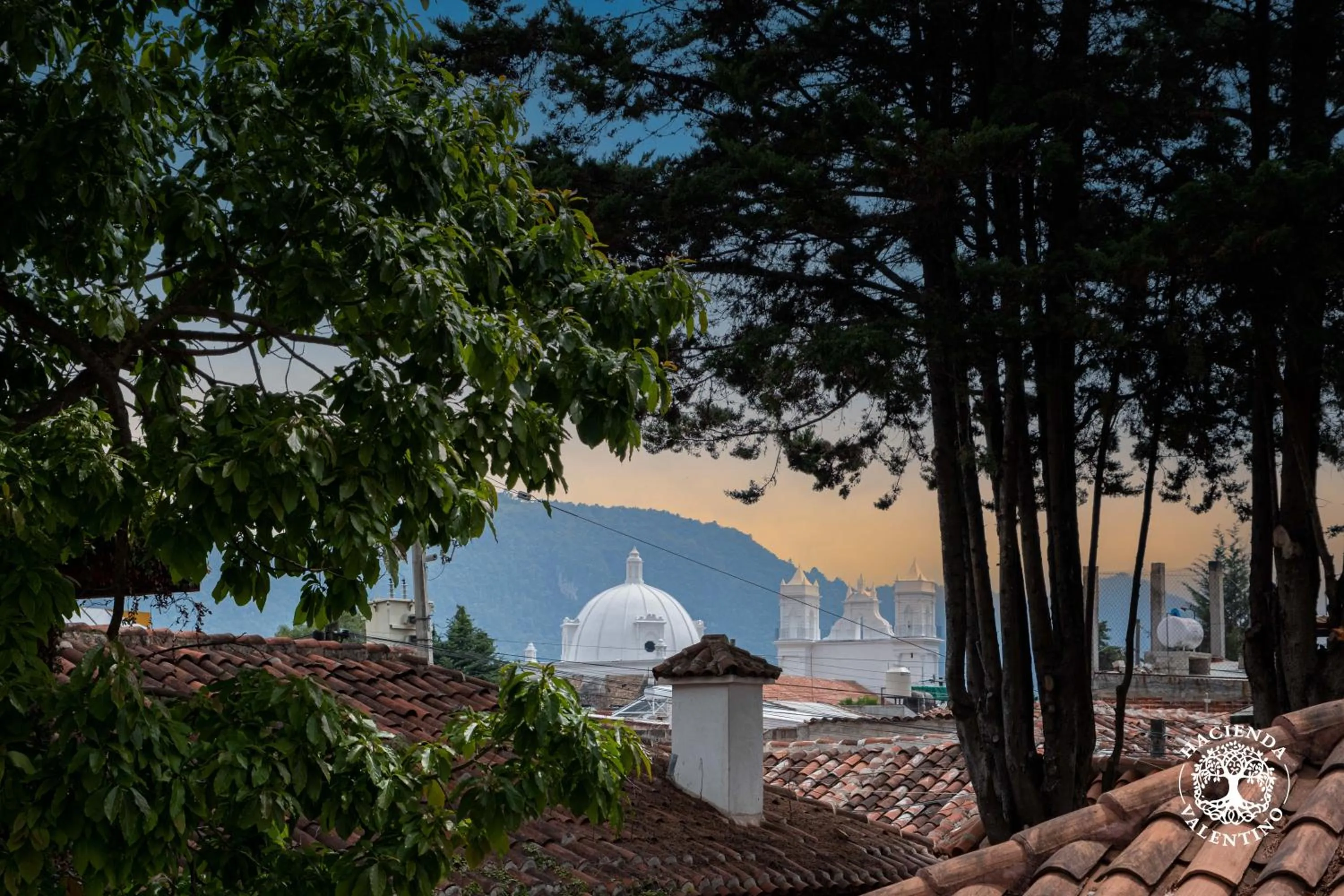 Natural landscape in Hacienda Valentino