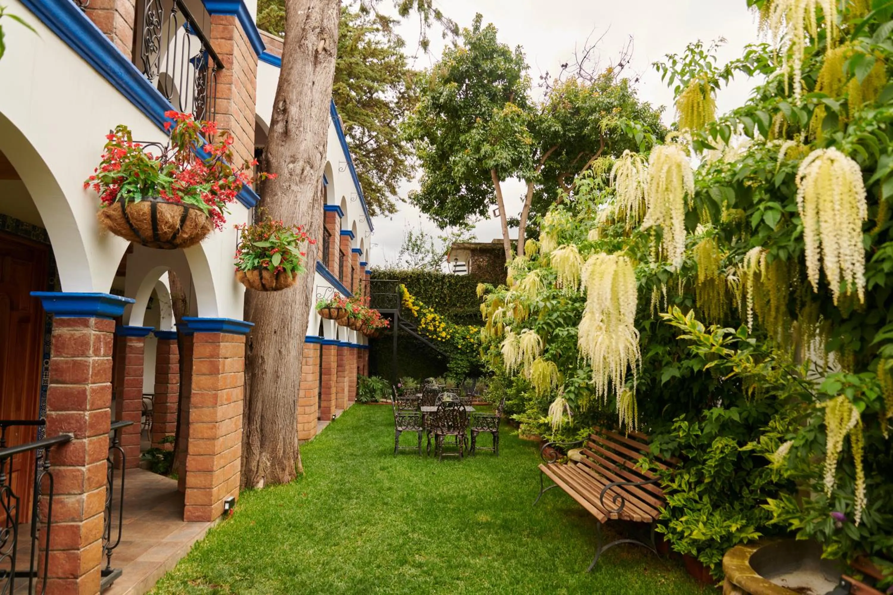 Garden in Hacienda Valentino