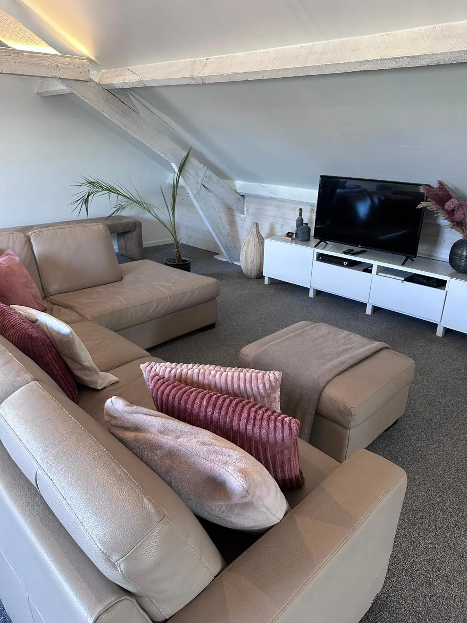 TV and multimedia in B&B 't zwart peird