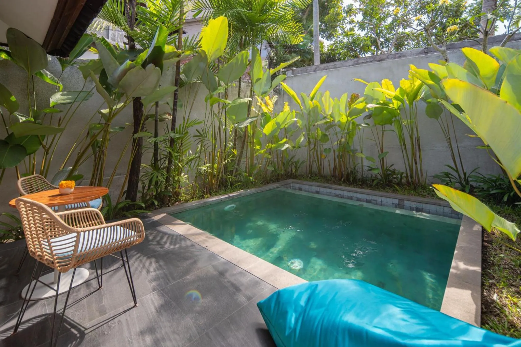 Swimming pool in Ecozy Dijiwa Canggu