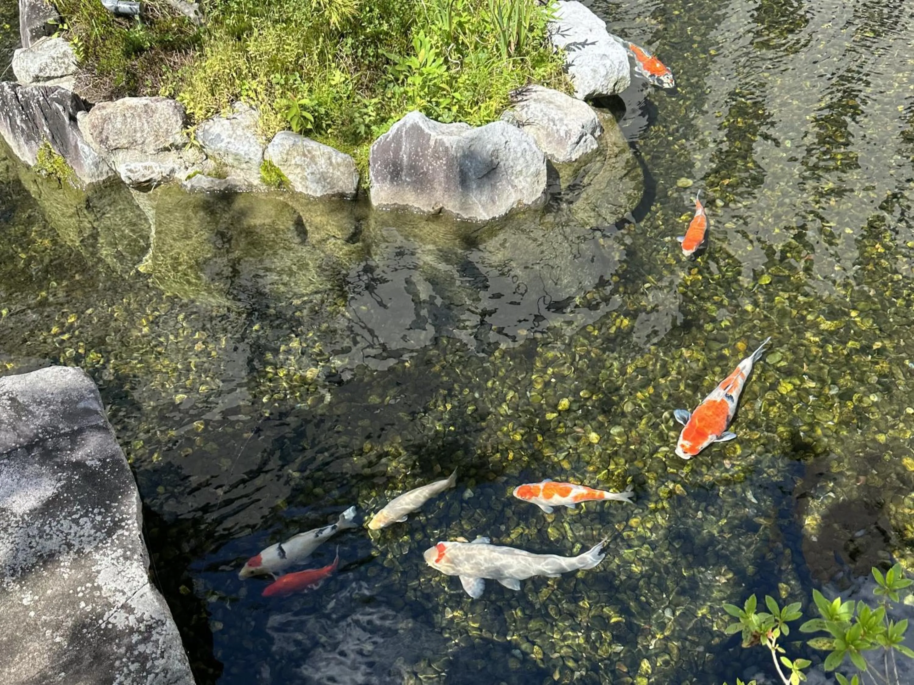 Area and facilities in La Vista Kusatsu Hills