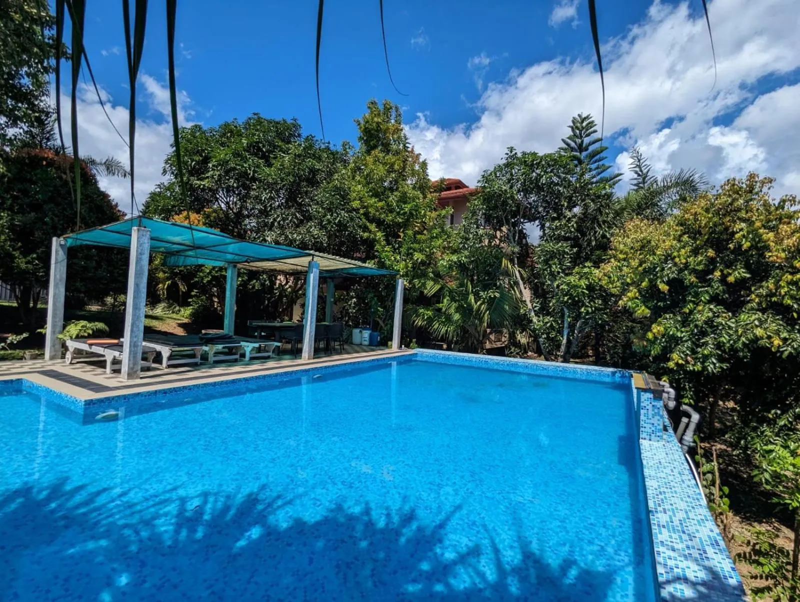 Swimming pool in Green View Villa