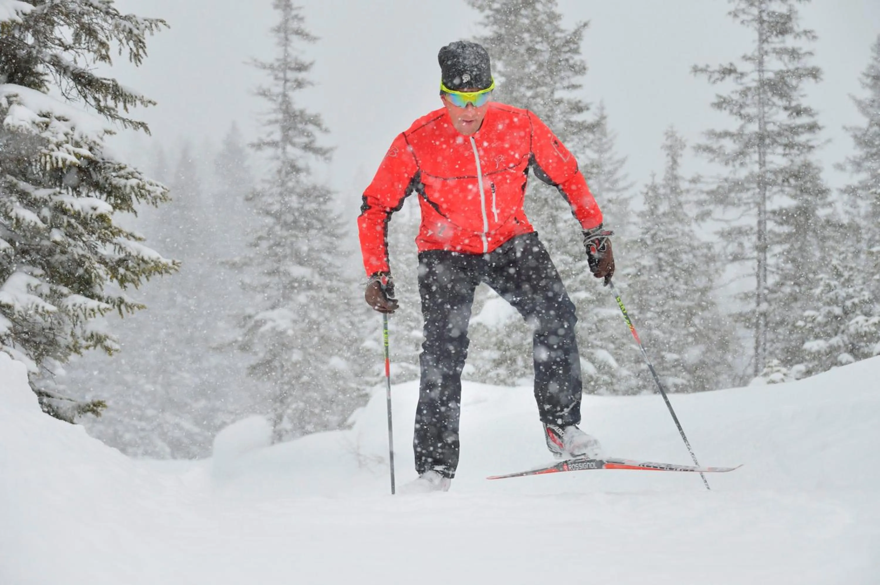 Skiing in Hotel Arlmont 4 Stern Superior