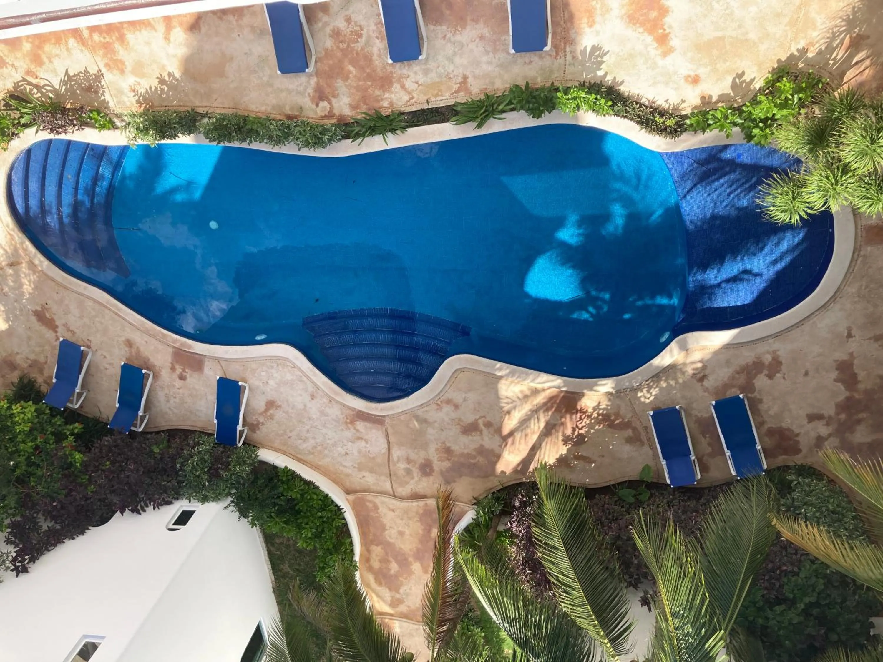 Bird's eye view in Casa 5 Palmas