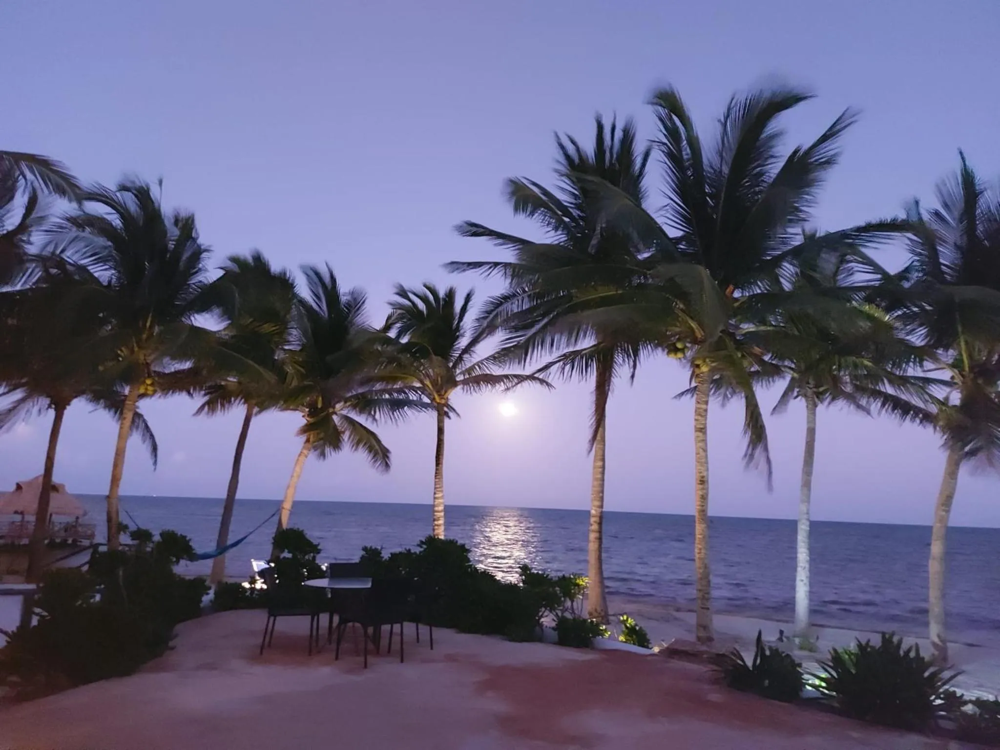 Sea view in Casa 5 Palmas