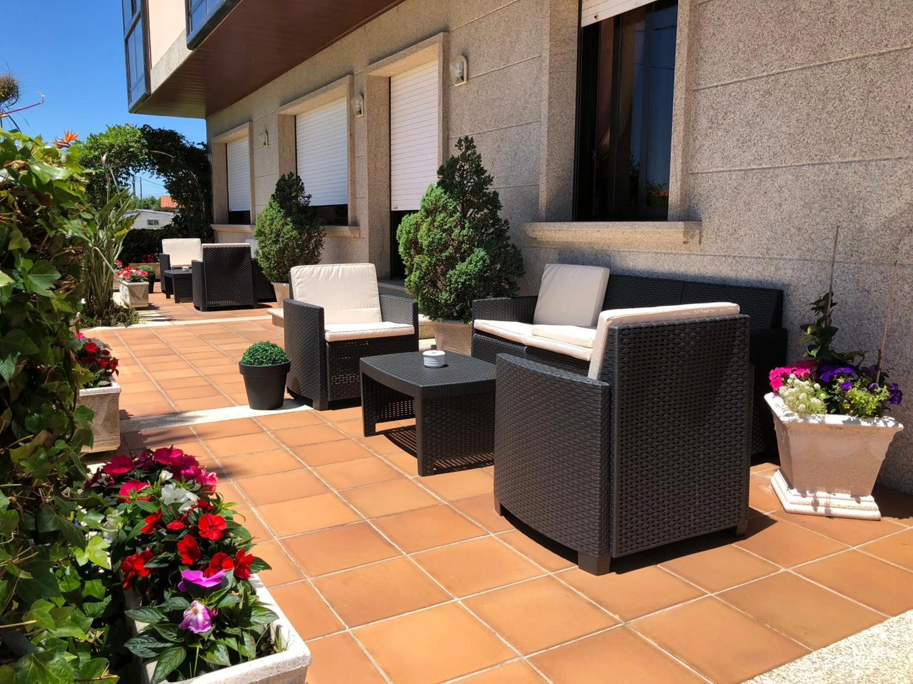 Garden in Hotel Florida