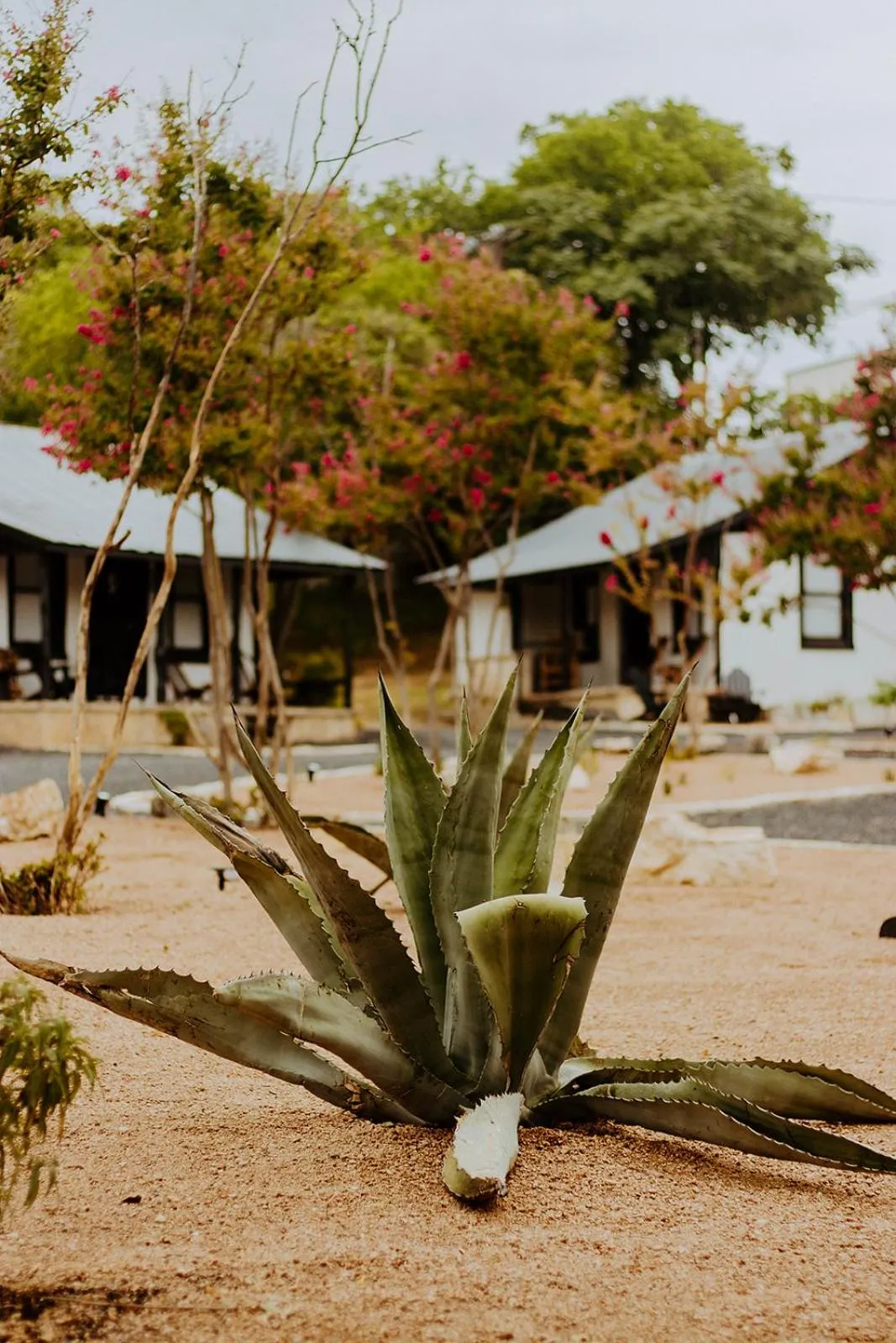 Natural landscape in THE VAQUERO MOTEL