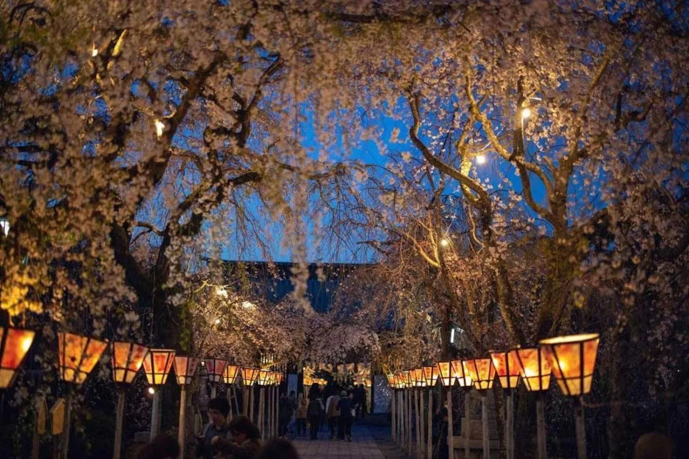 Guesthouse giwa - Vacation STAY 14229v