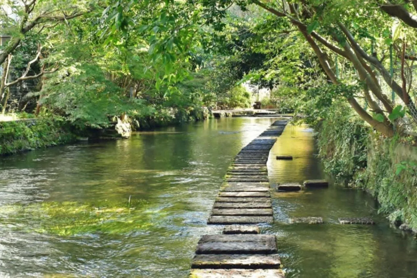 Guesthouse giwa - Vacation STAY 14229v