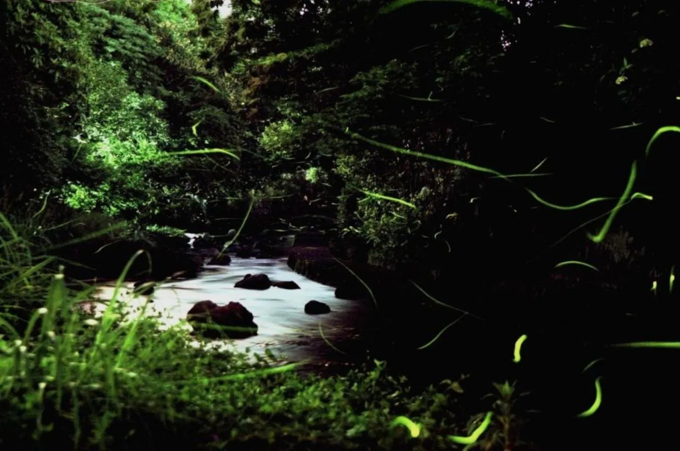 Guesthouse giwa - Vacation STAY 14271v