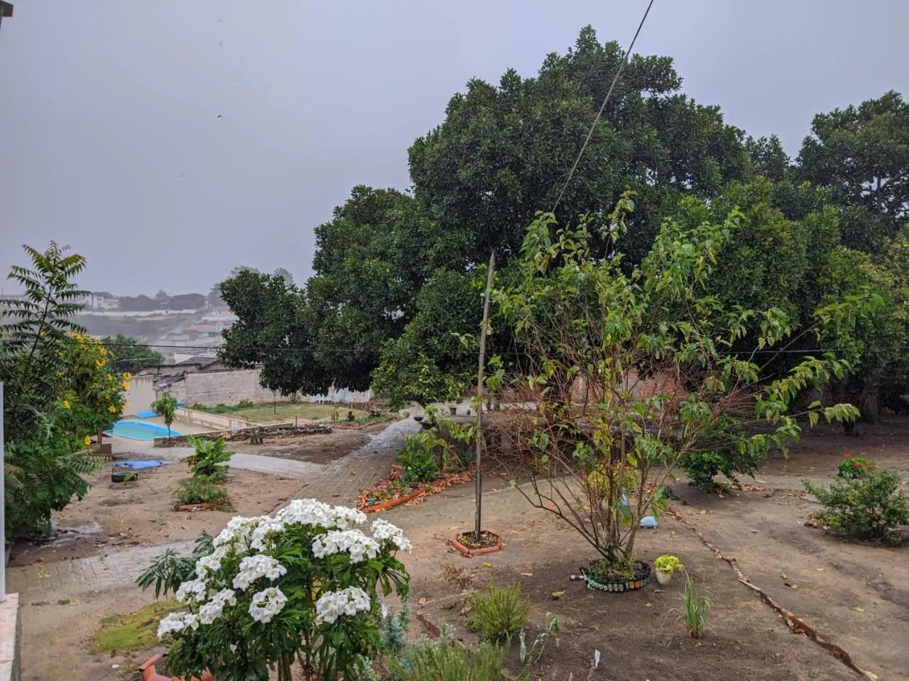 Garden in Pousada Viana