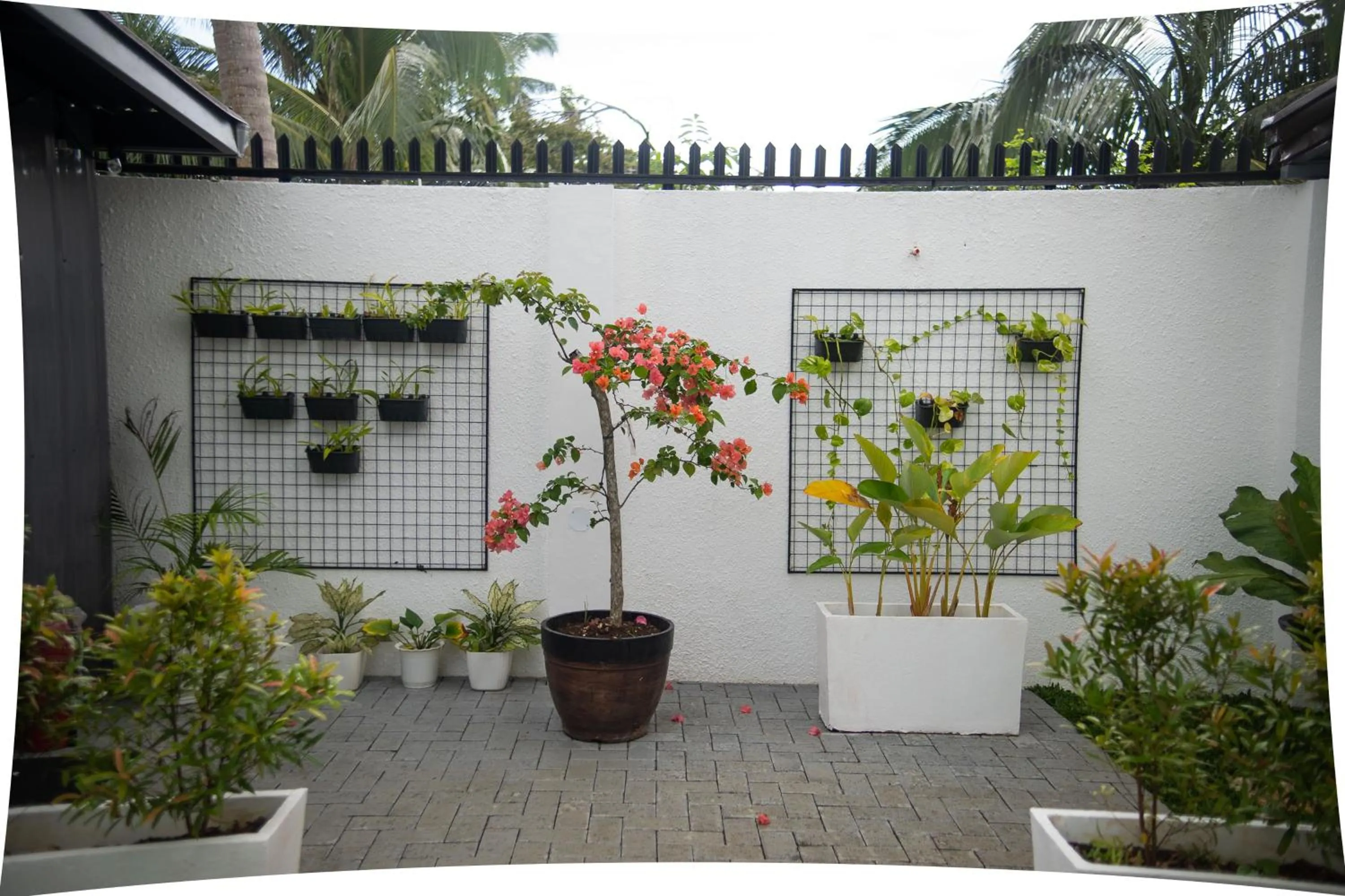 Garden view in Thistle Inn