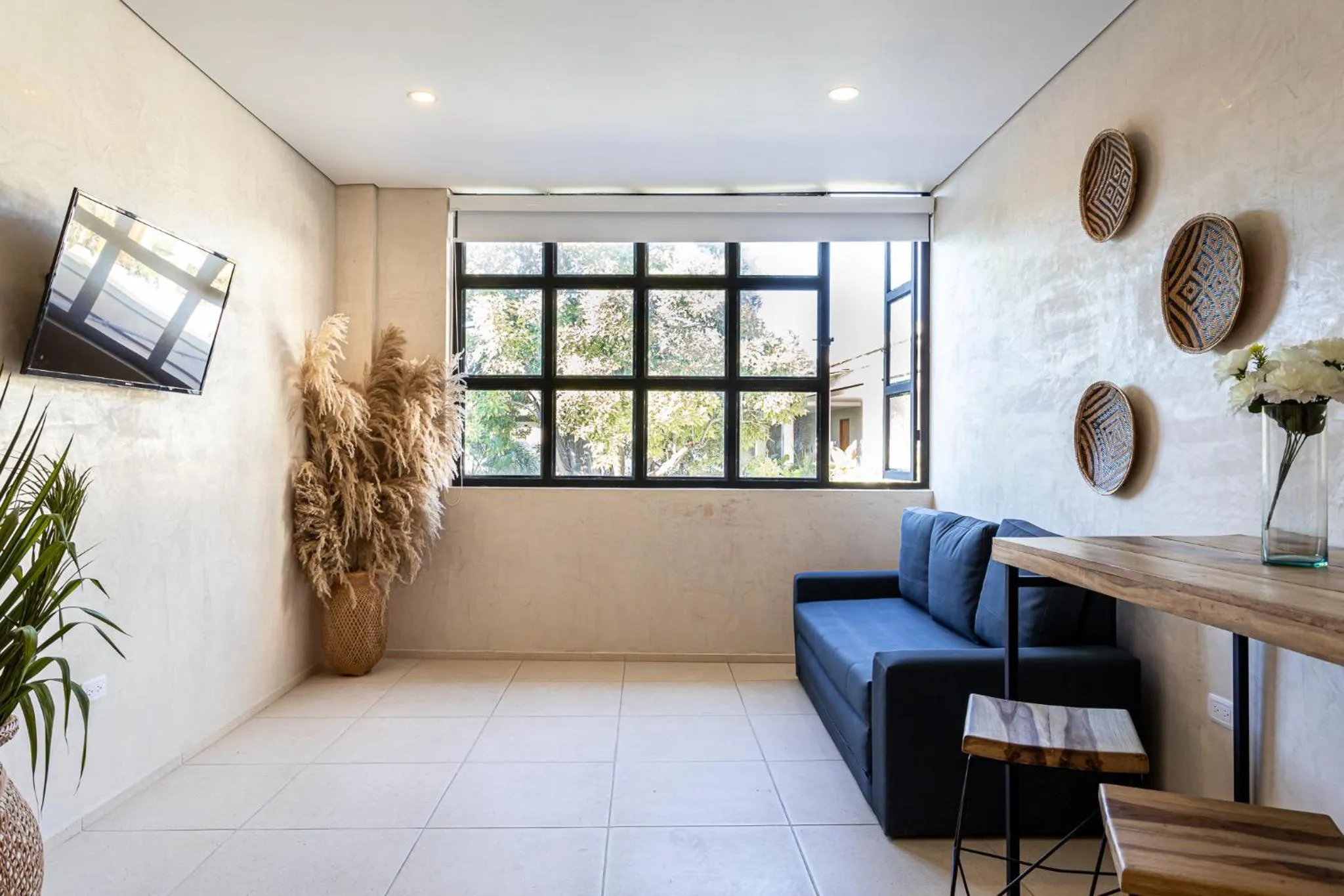 TV and multimedia in Soy Local Santa Marta