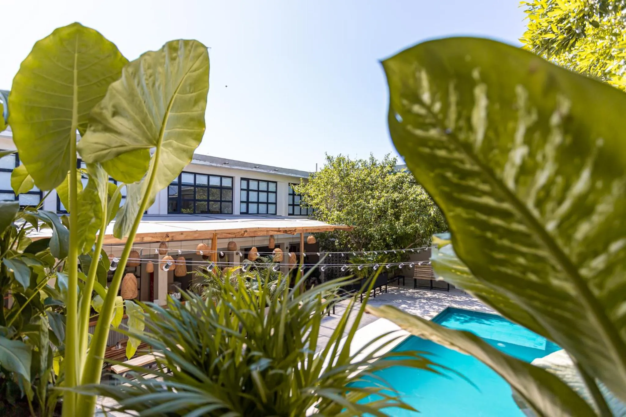 Day in Soy Local Santa Marta