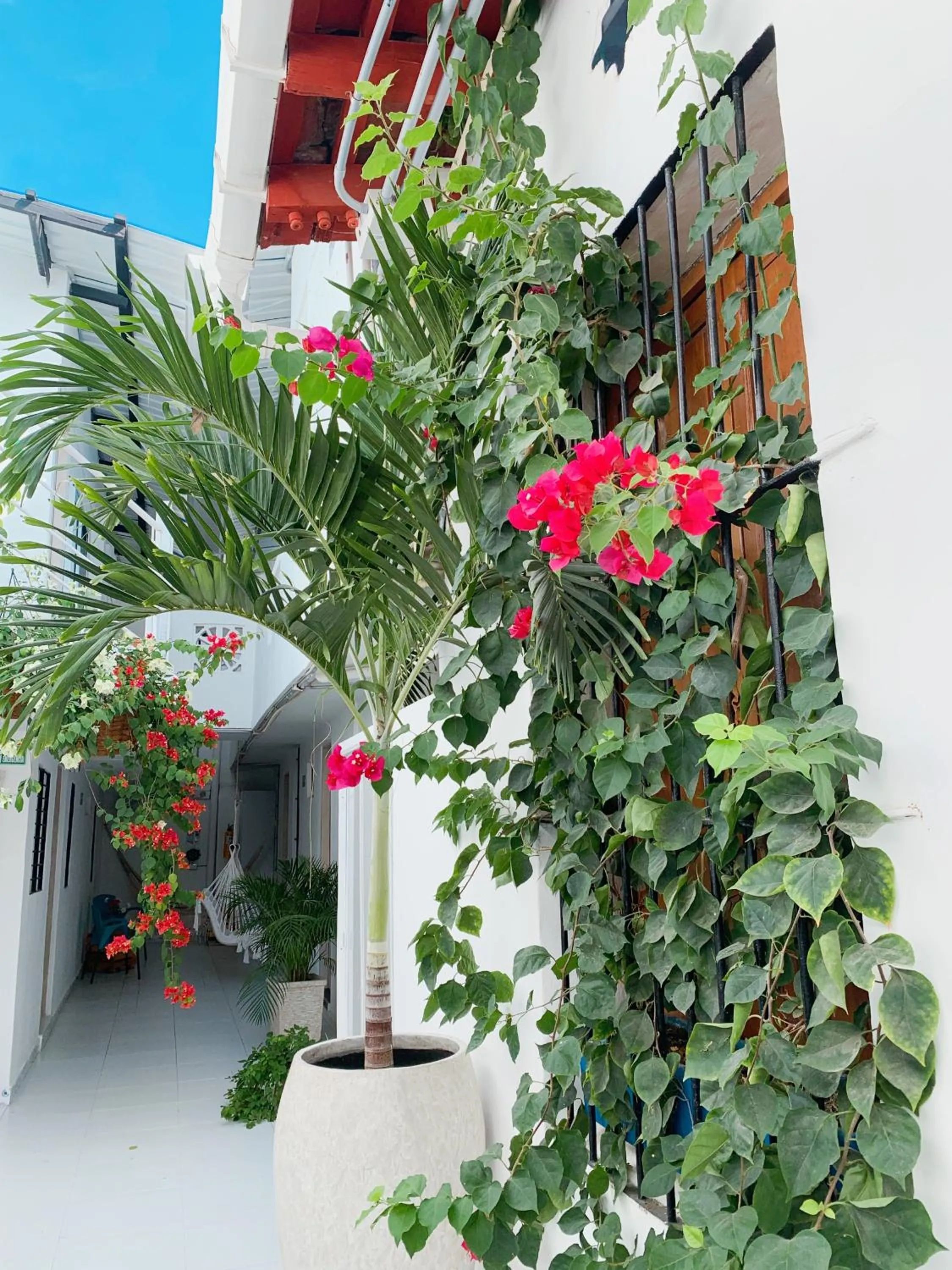 Patio in Comunidad Calle 13 Hotel Boutique