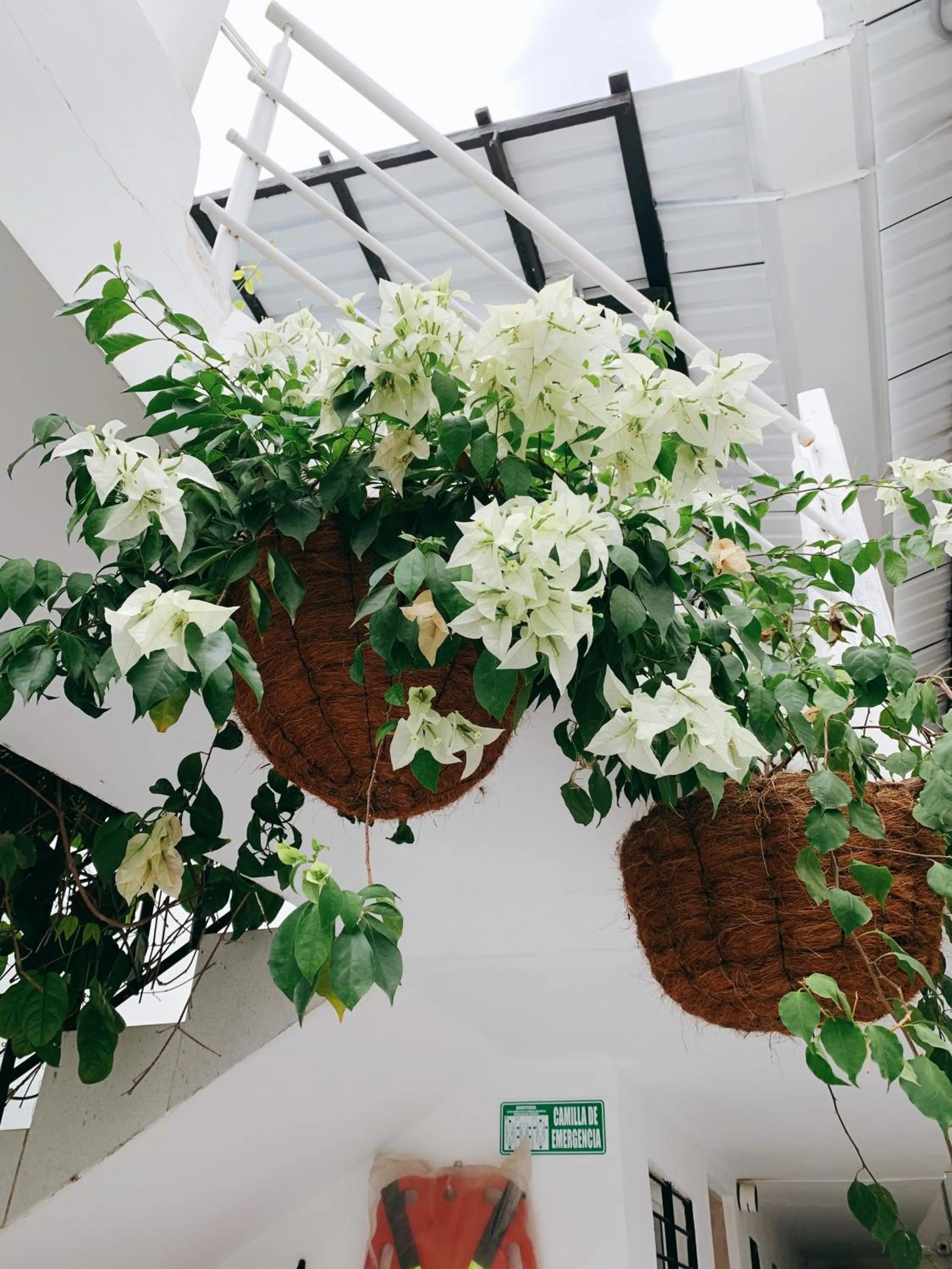 Spring in Comunidad Calle 13 Hotel Boutique