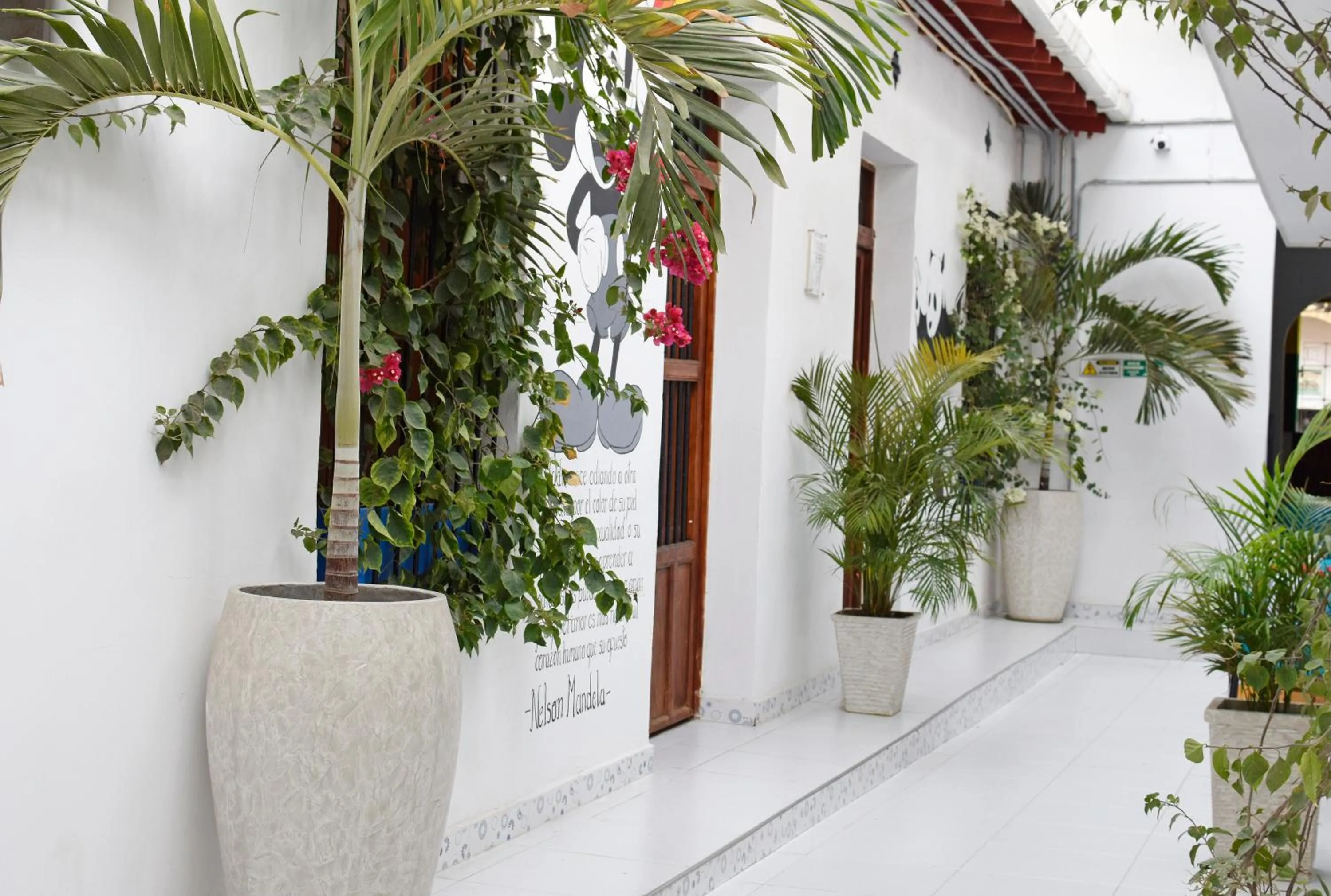 Patio in Comunidad Calle 13 Hotel Boutique