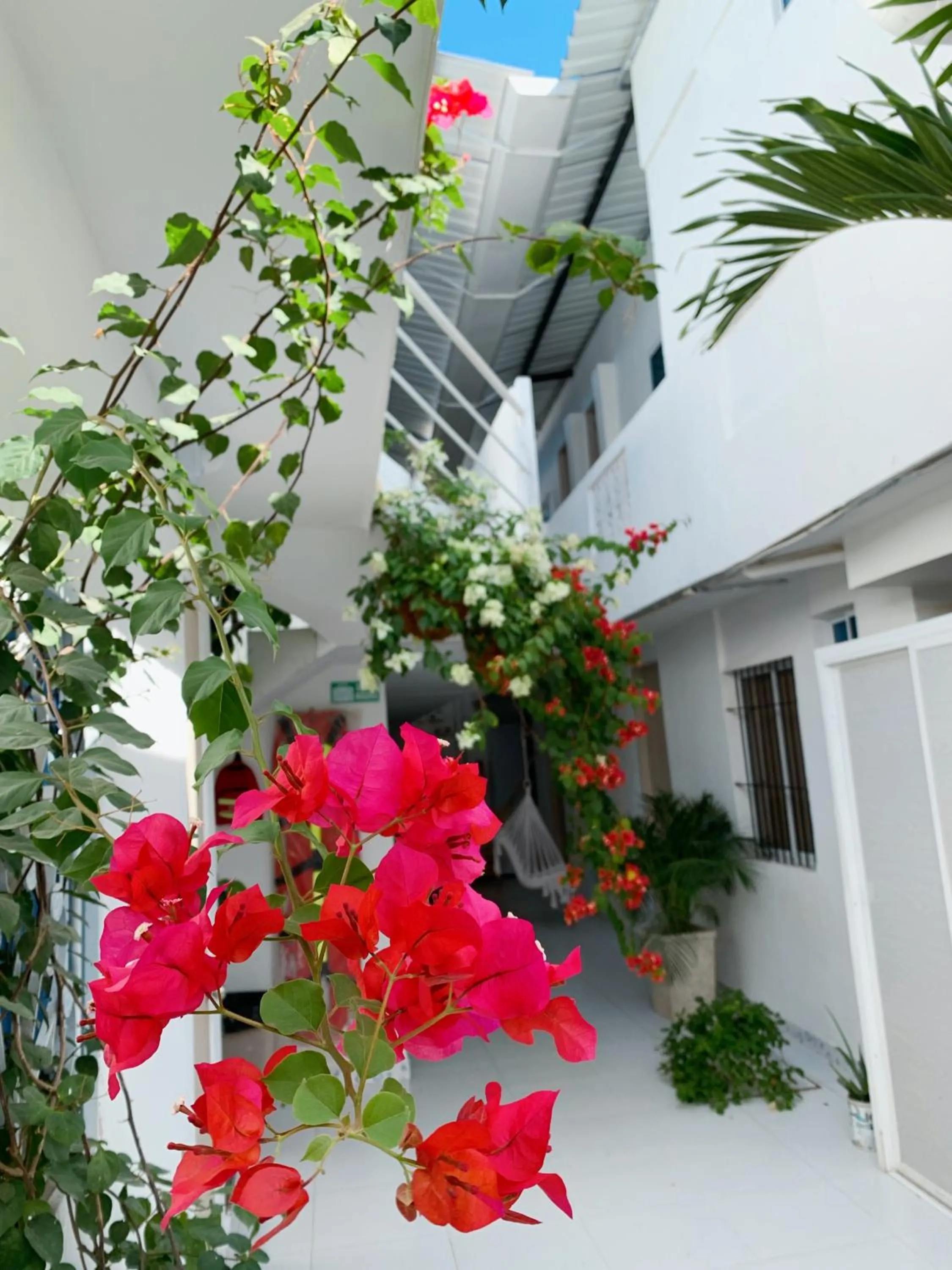 Property building in Comunidad Calle 13 Hotel Boutique