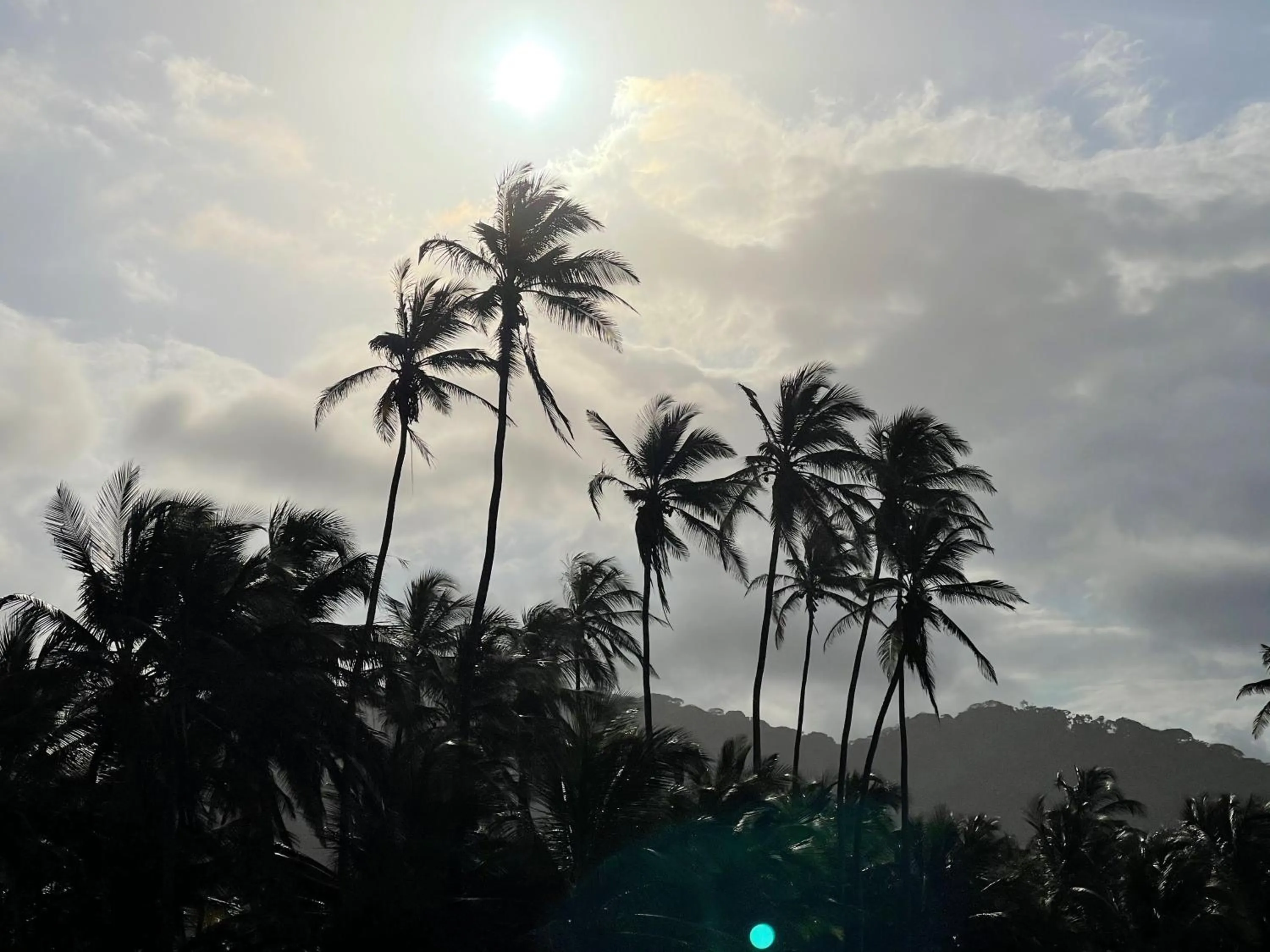 Natural landscape in Comunidad Calle 13 Hotel Boutique